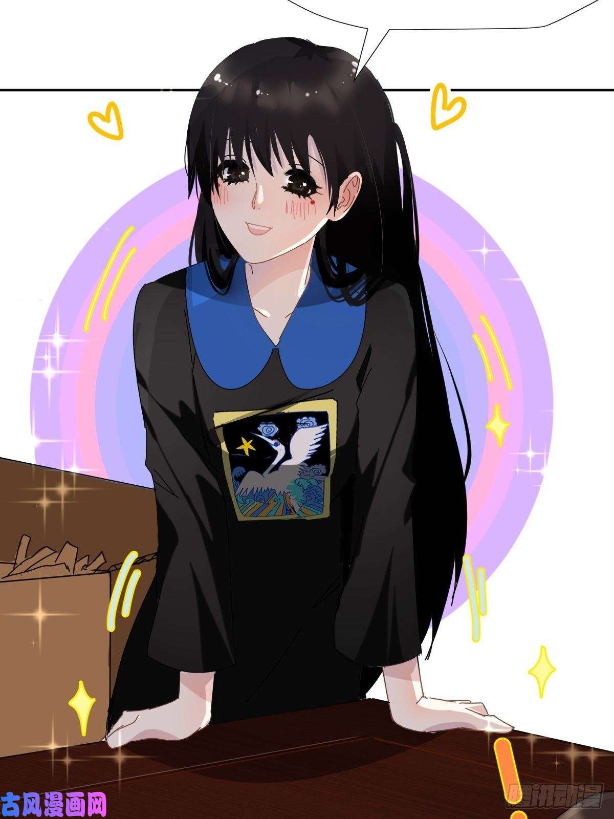 黑背信天翁我相信这是一种缘分