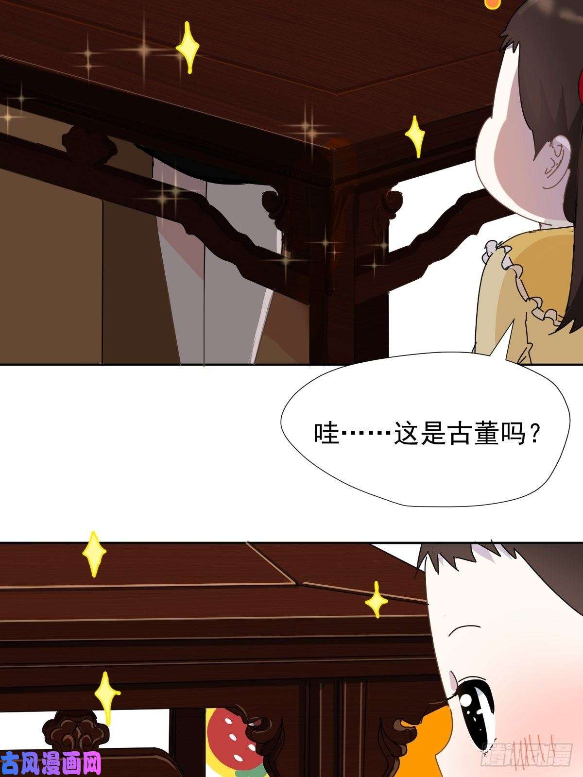 黑背信天翁我相信这是一种缘分