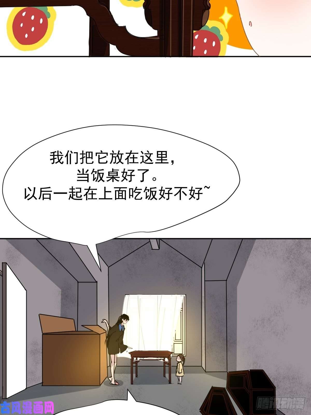 黑背信天翁我相信这是一种缘分