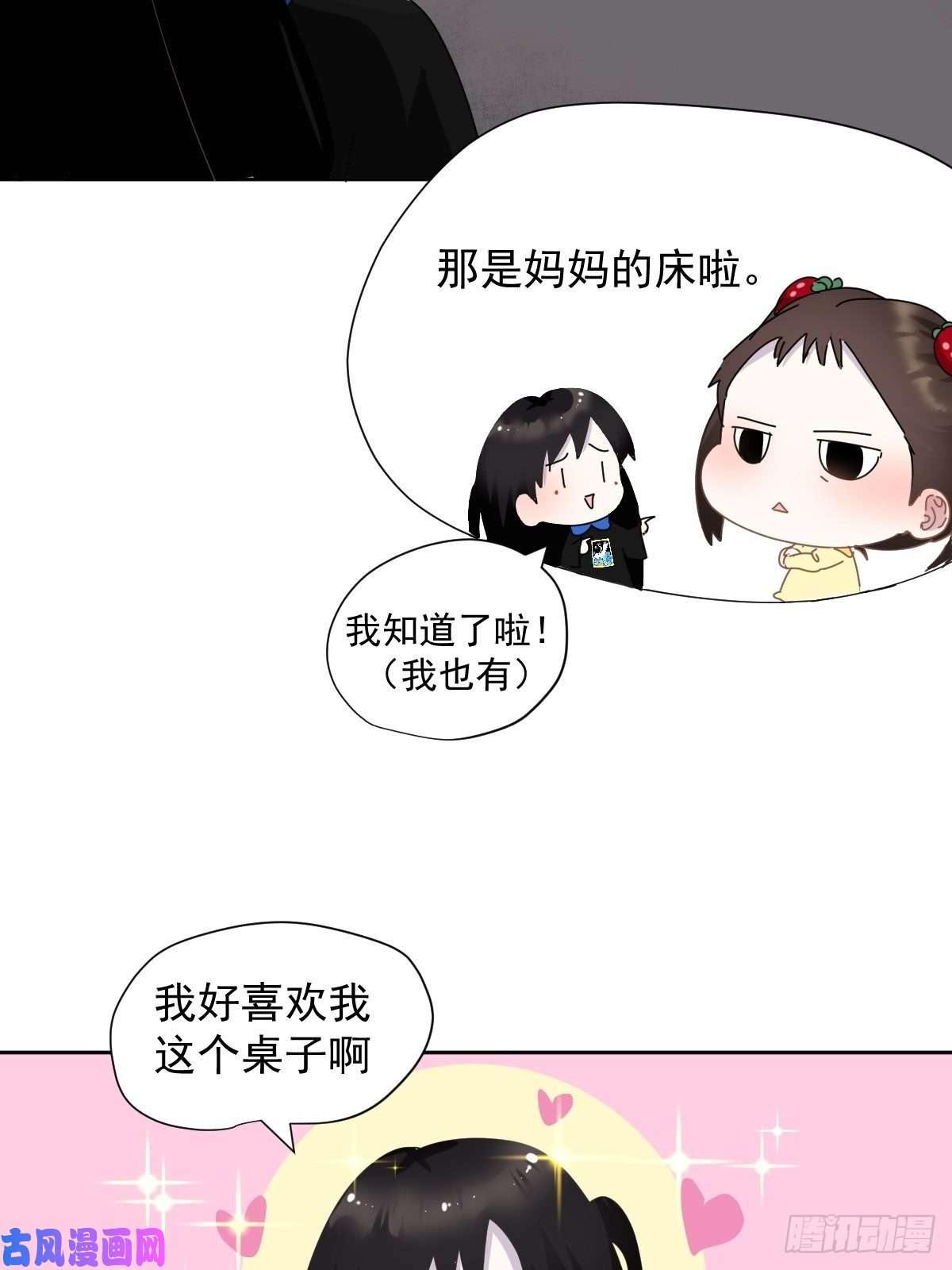 黑背信天翁我相信这是一种缘分