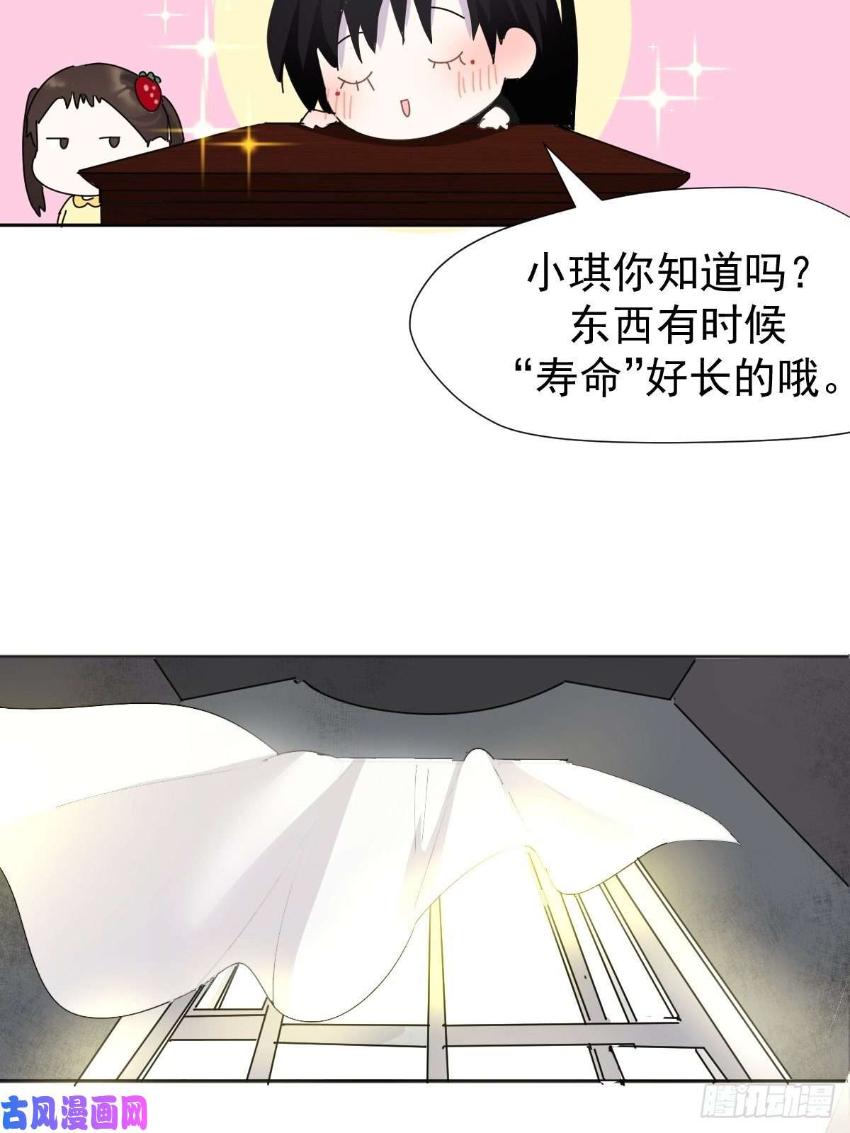 黑背信天翁我相信这是一种缘分