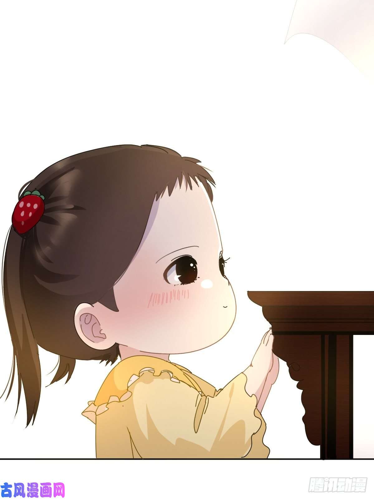 黑背信天翁我相信这是一种缘分