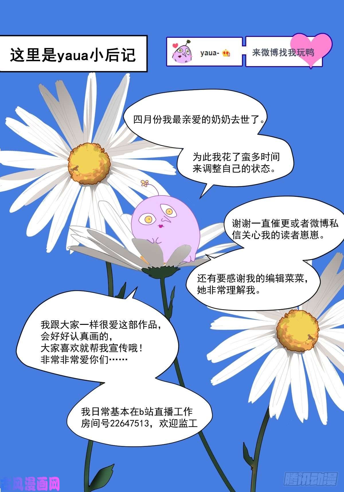 黑背信天翁我相信这是一种缘分