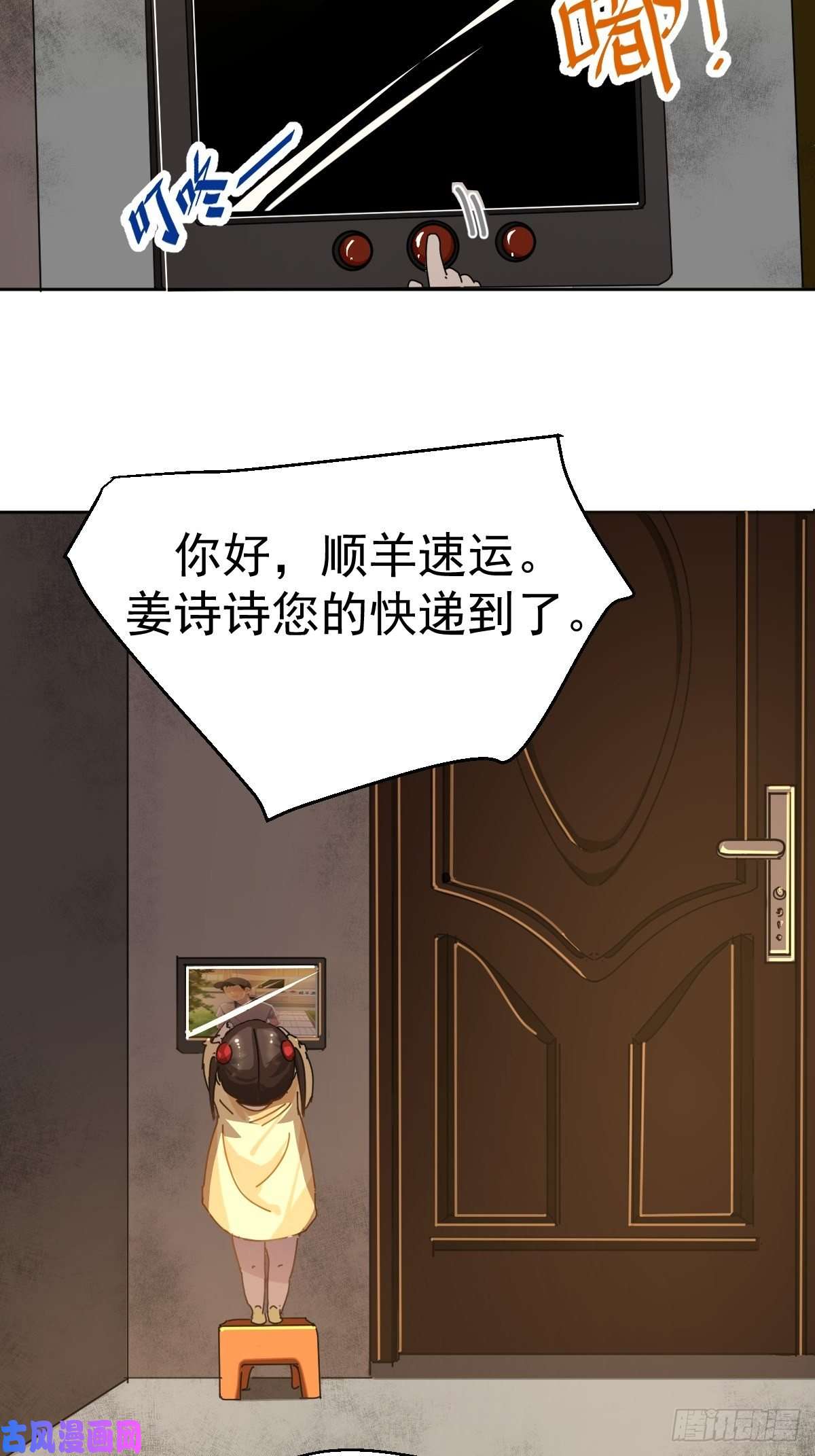 黑背信天翁我相信这是一种缘分