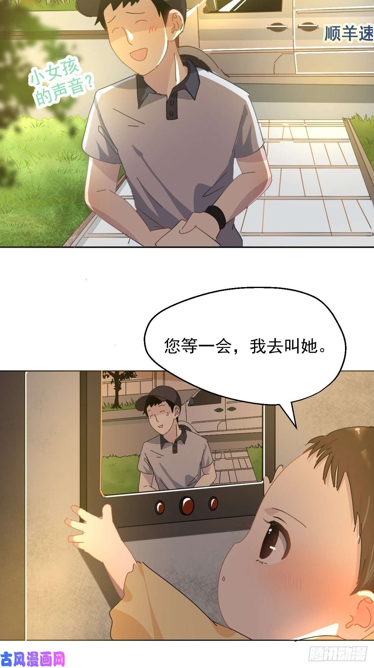 黑背信天翁我相信这是一种缘分