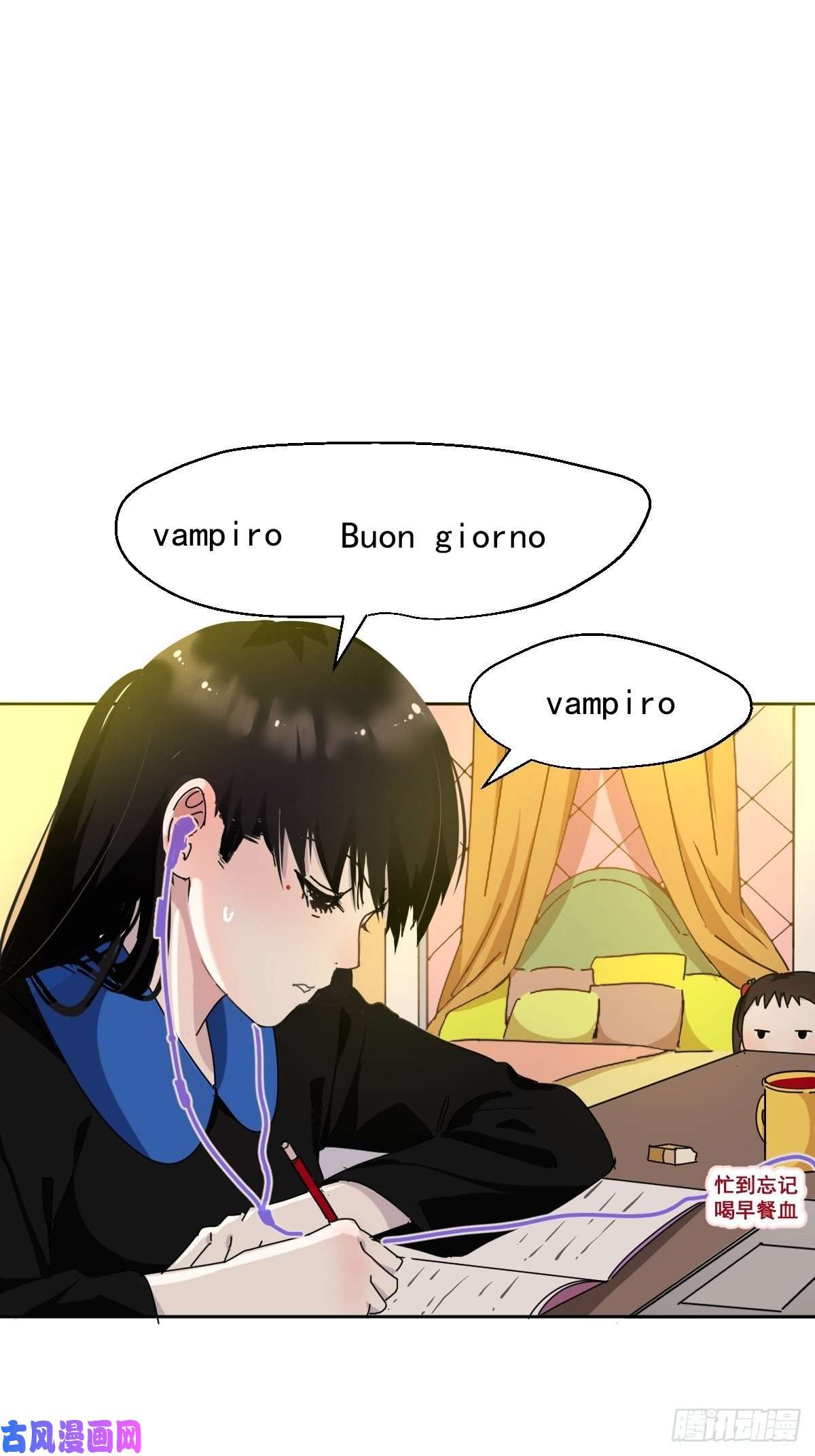 黑背信天翁我相信这是一种缘分