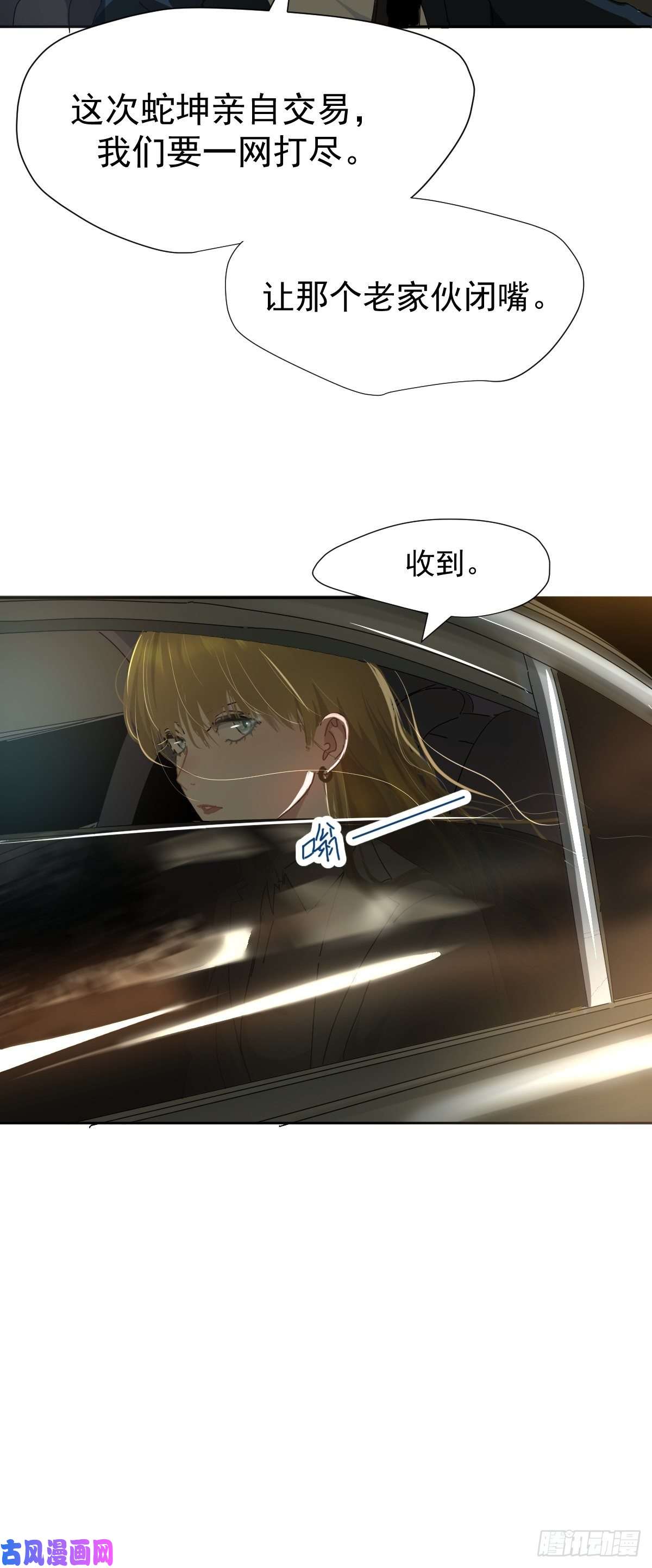 黑背信天翁各部门做好准备