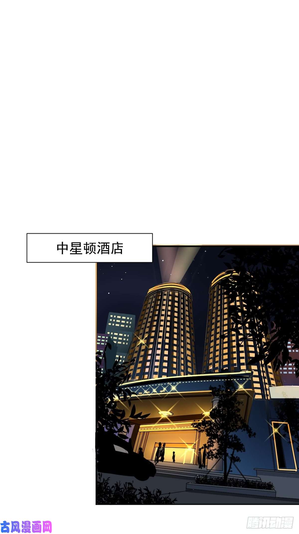 黑背信天翁各部门做好准备