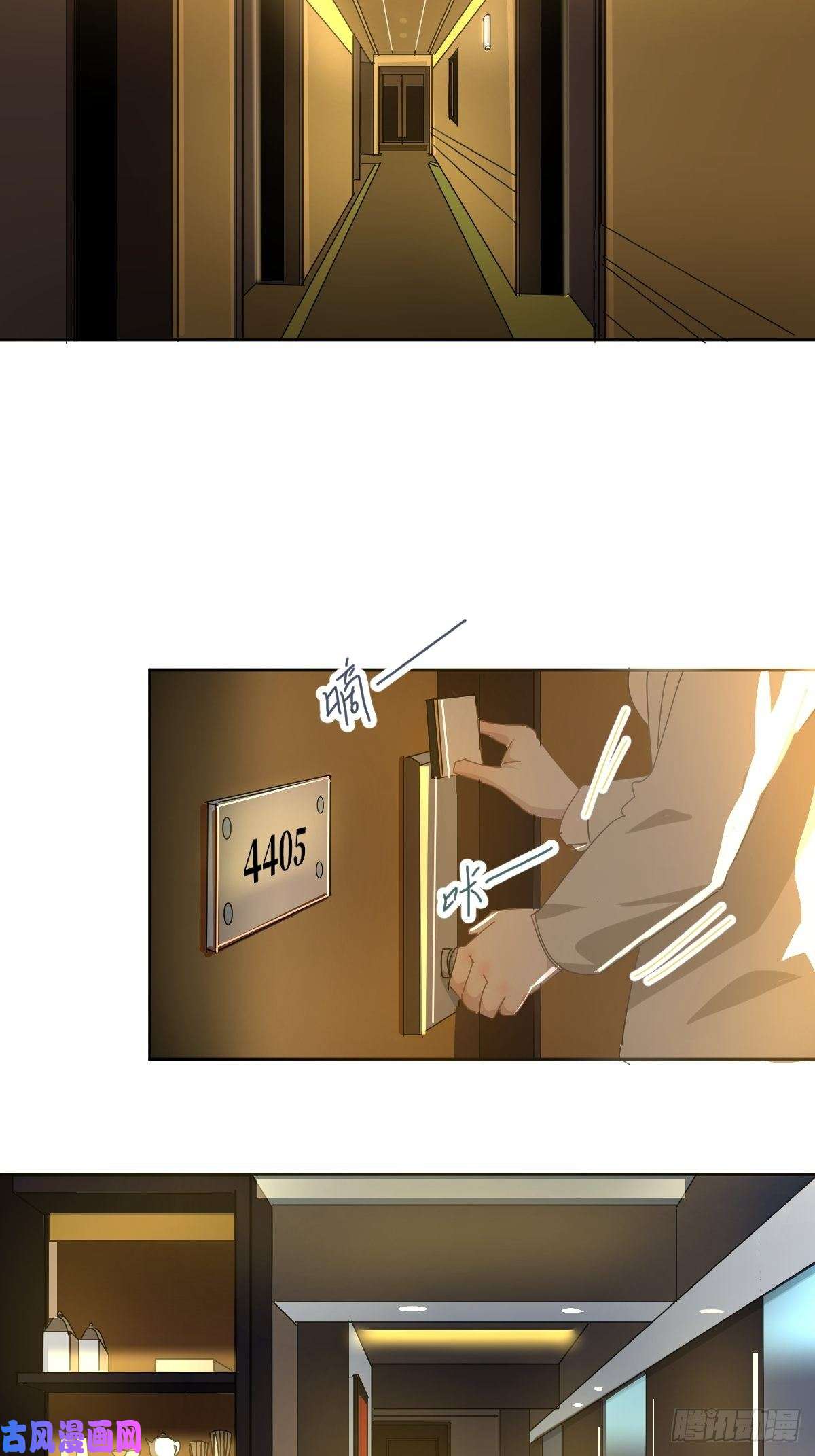 黑背信天翁各部门做好准备