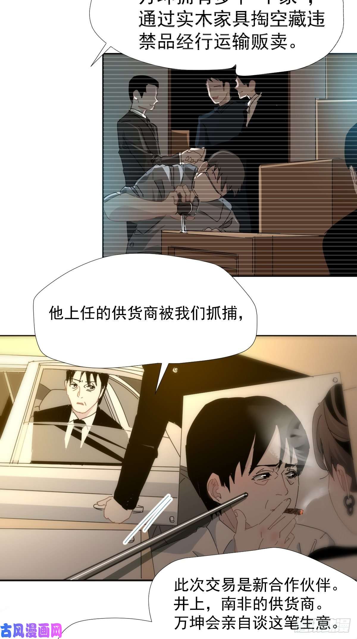 黑背信天翁各部门做好准备