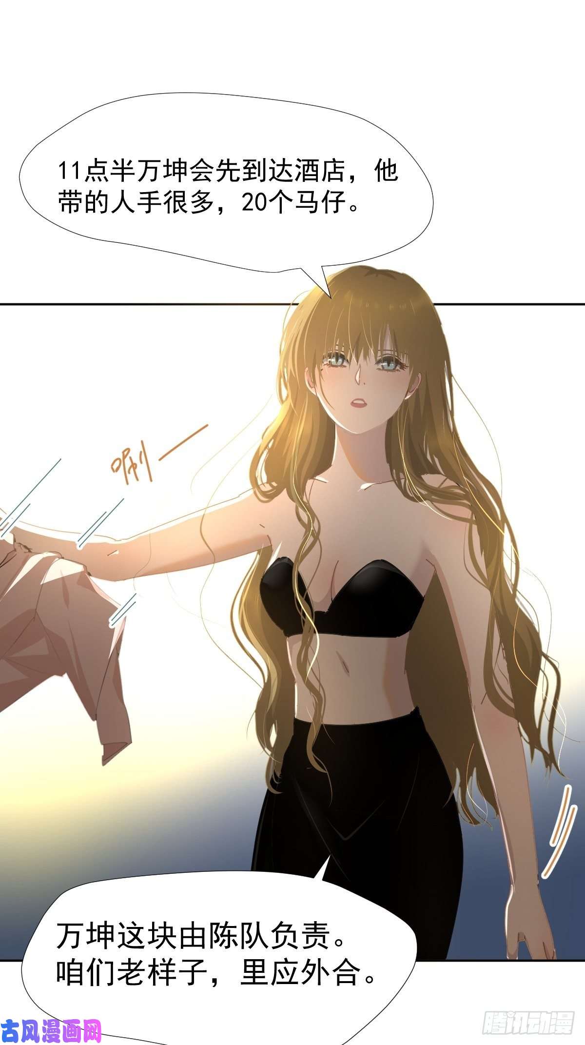 黑背信天翁各部门做好准备