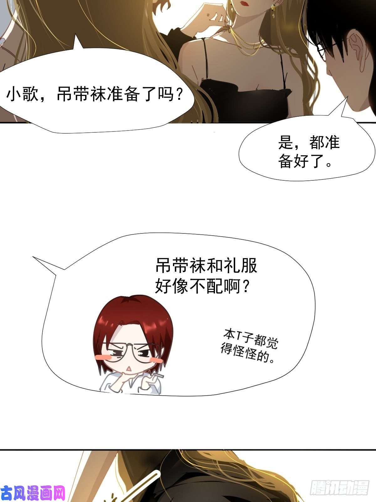 黑背信天翁各部门做好准备