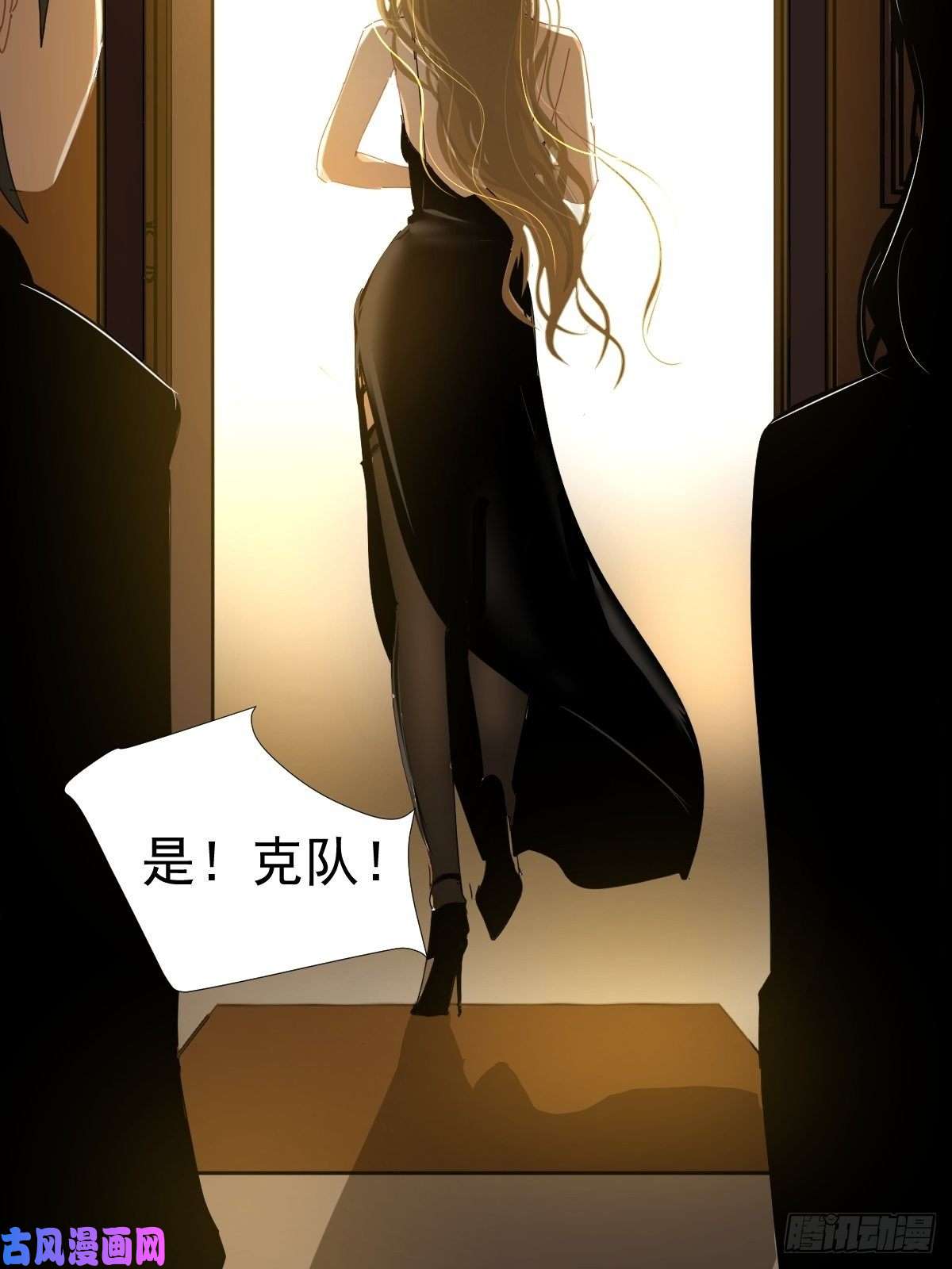 黑背信天翁各部门做好准备