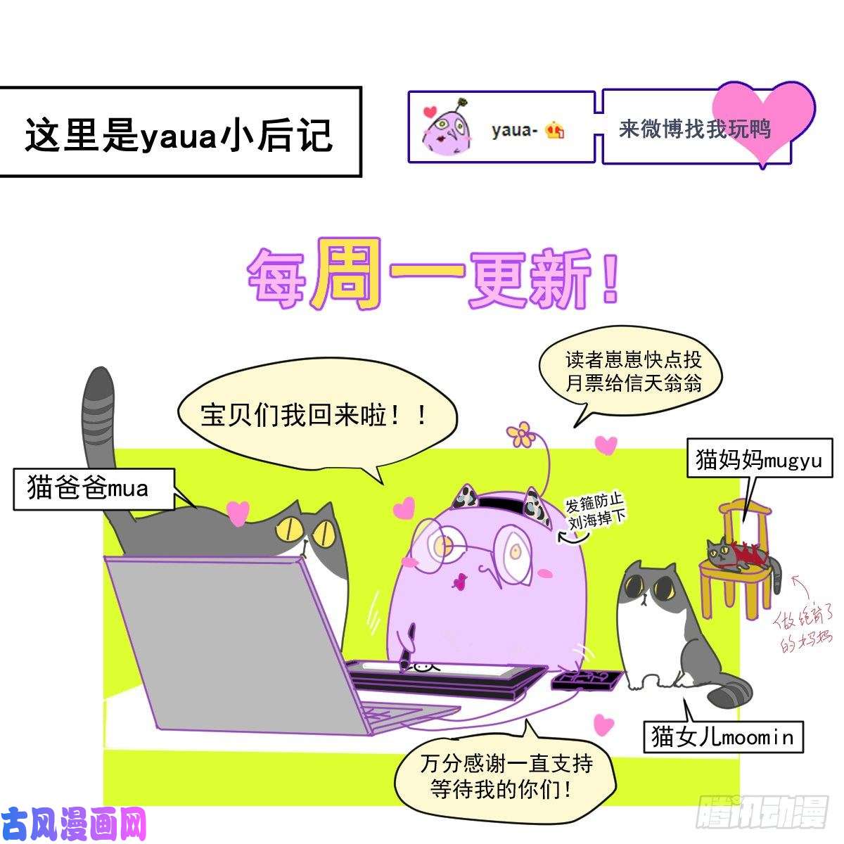 黑背信天翁各部门做好准备