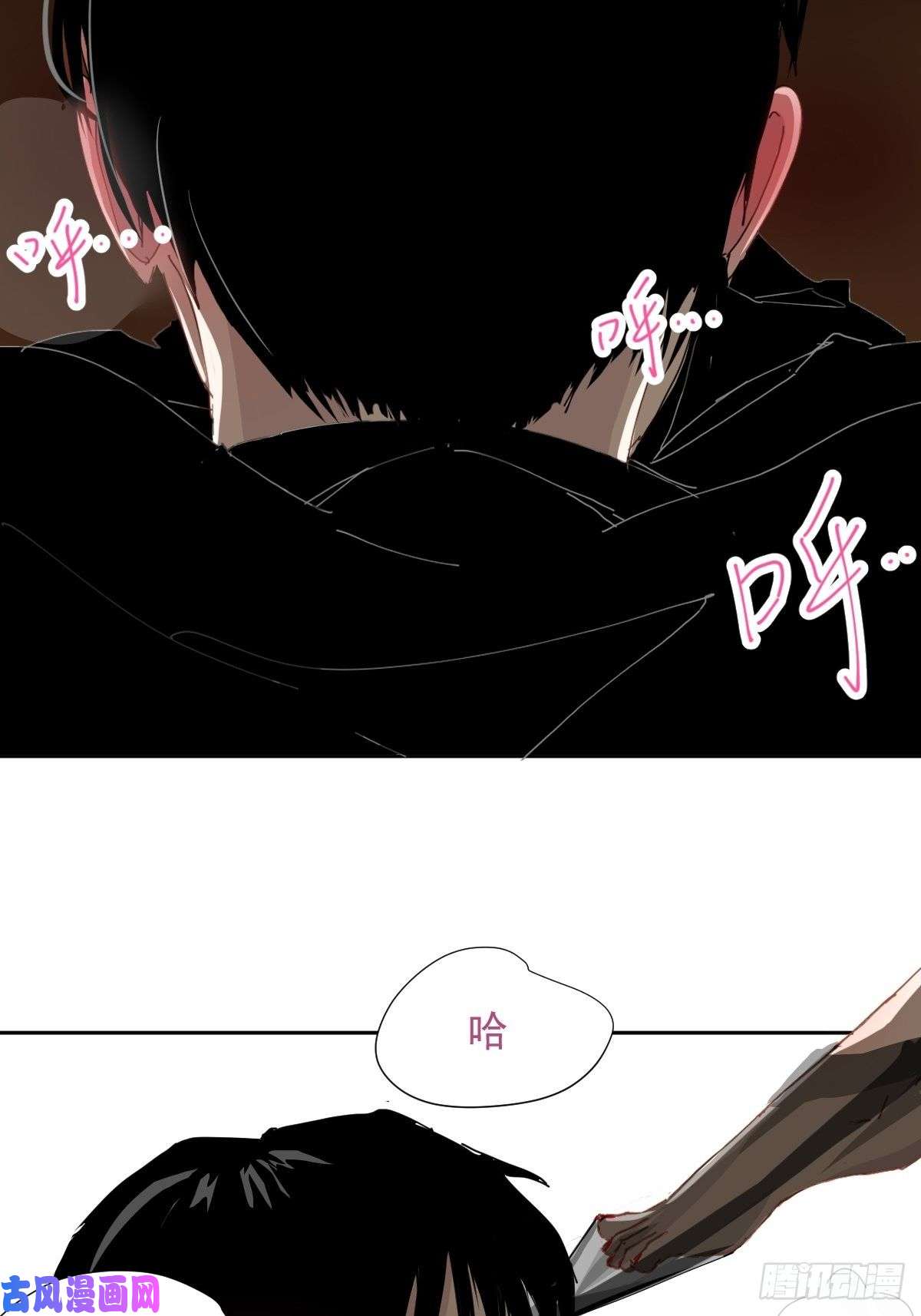 黑背信天翁叼话来