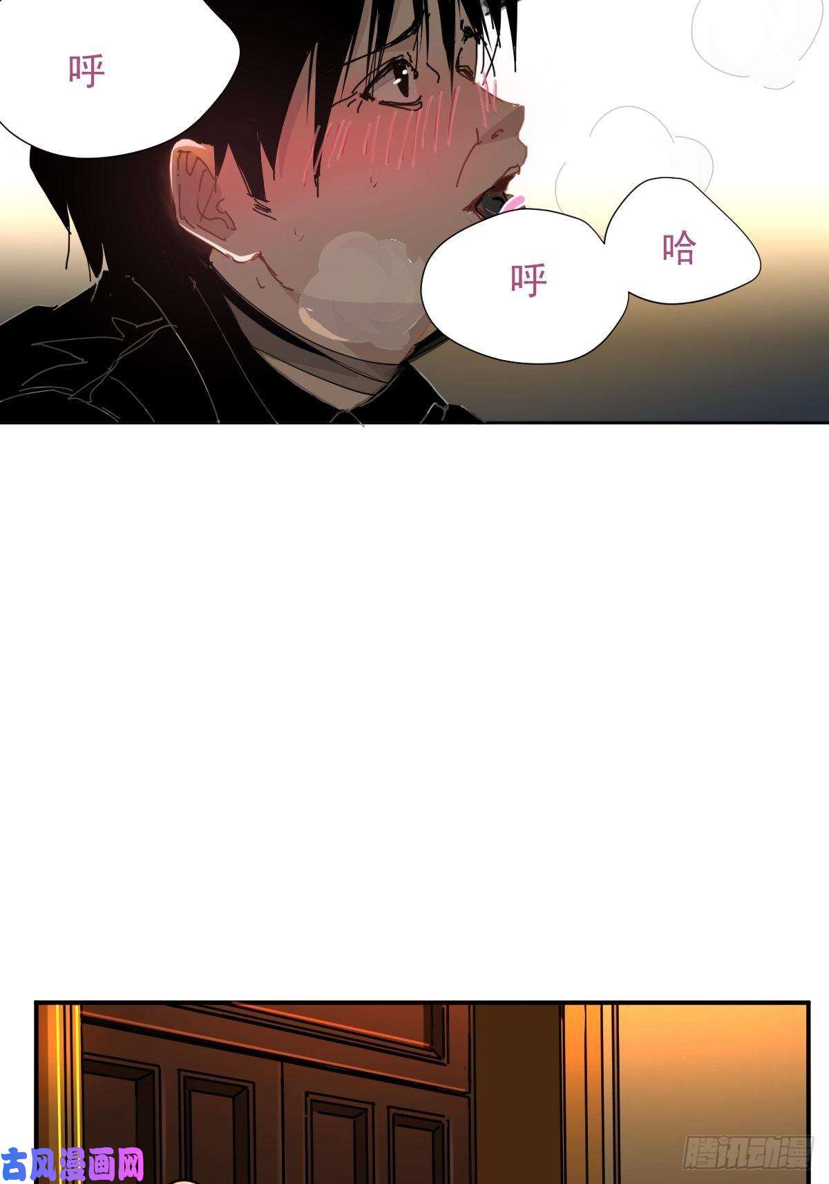 黑背信天翁叼话来