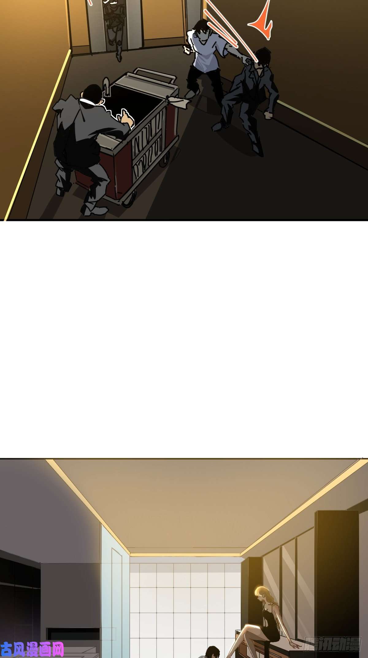 黑背信天翁叼话来