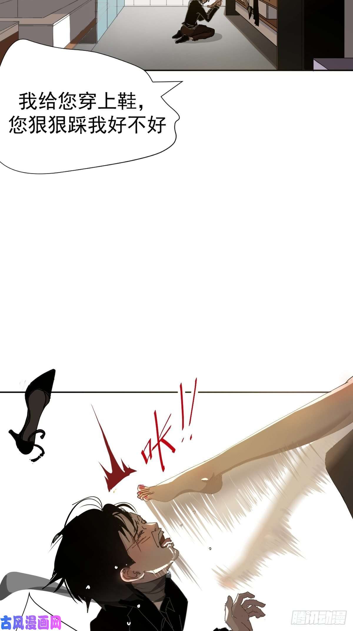 黑背信天翁叼话来