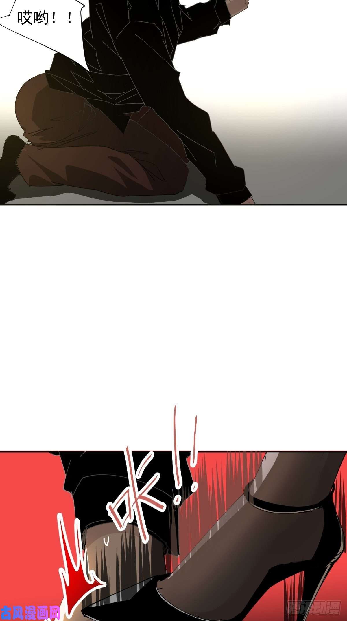 黑背信天翁叼话来