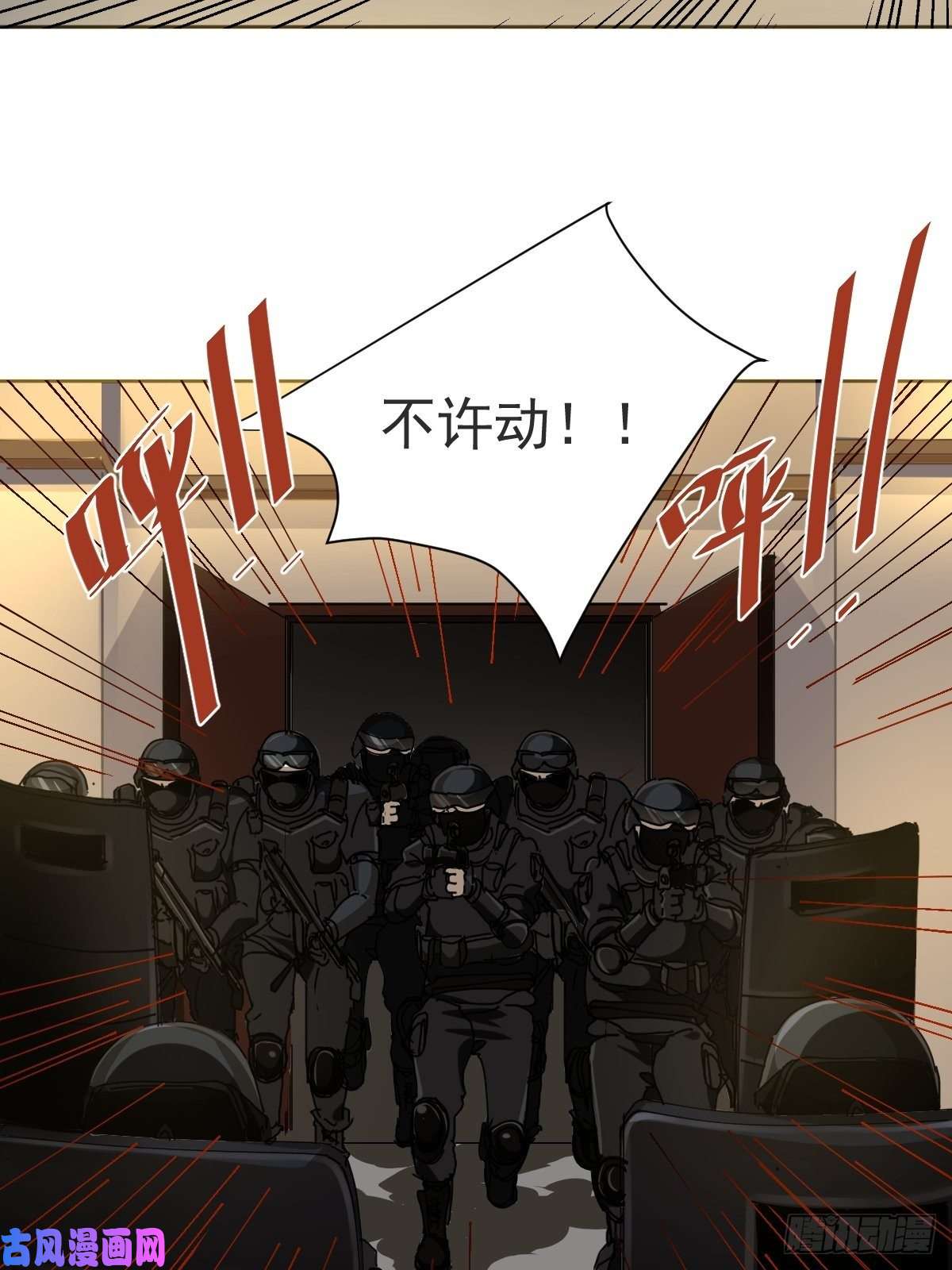 黑背信天翁叼话来