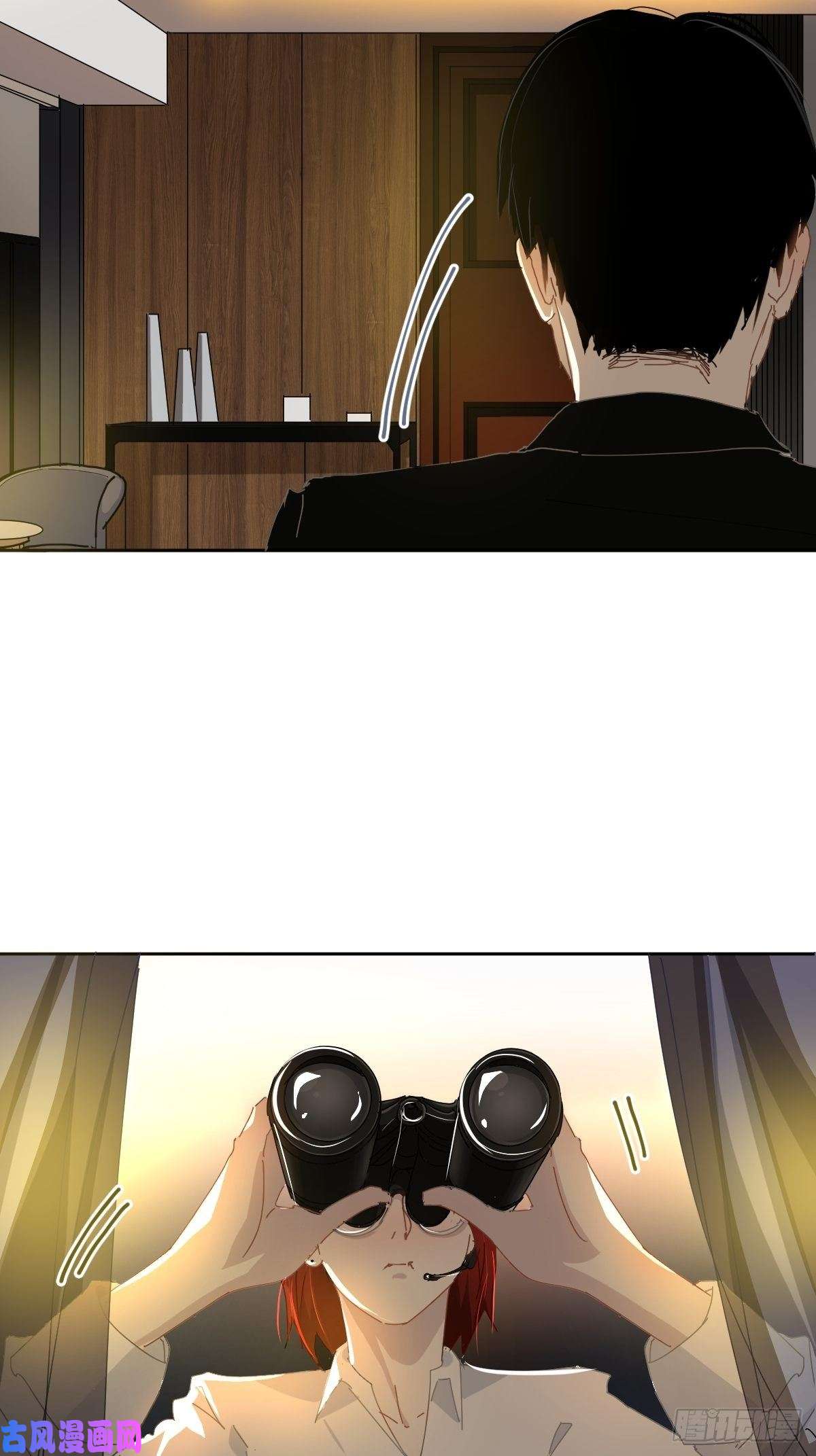 黑背信天翁叼话来