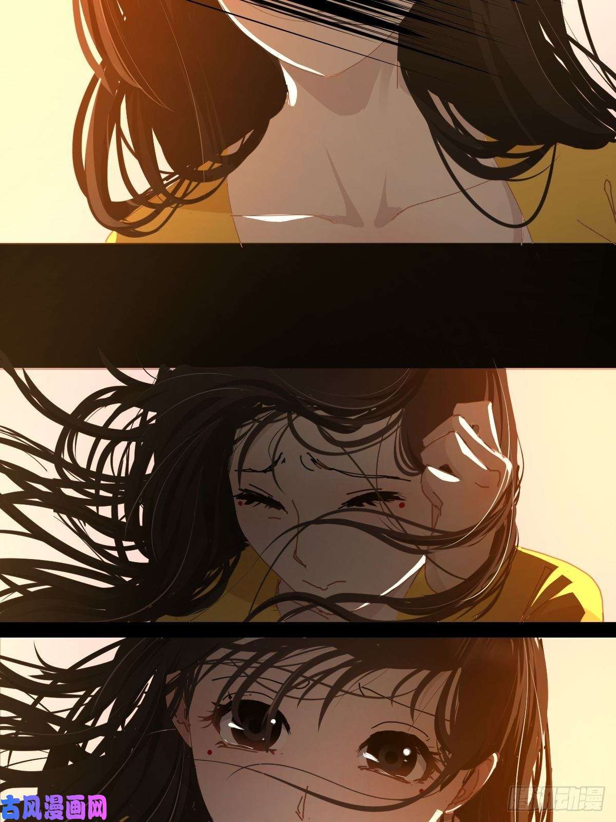 黑背信天翁17我想它告诉了我什么叫做活着