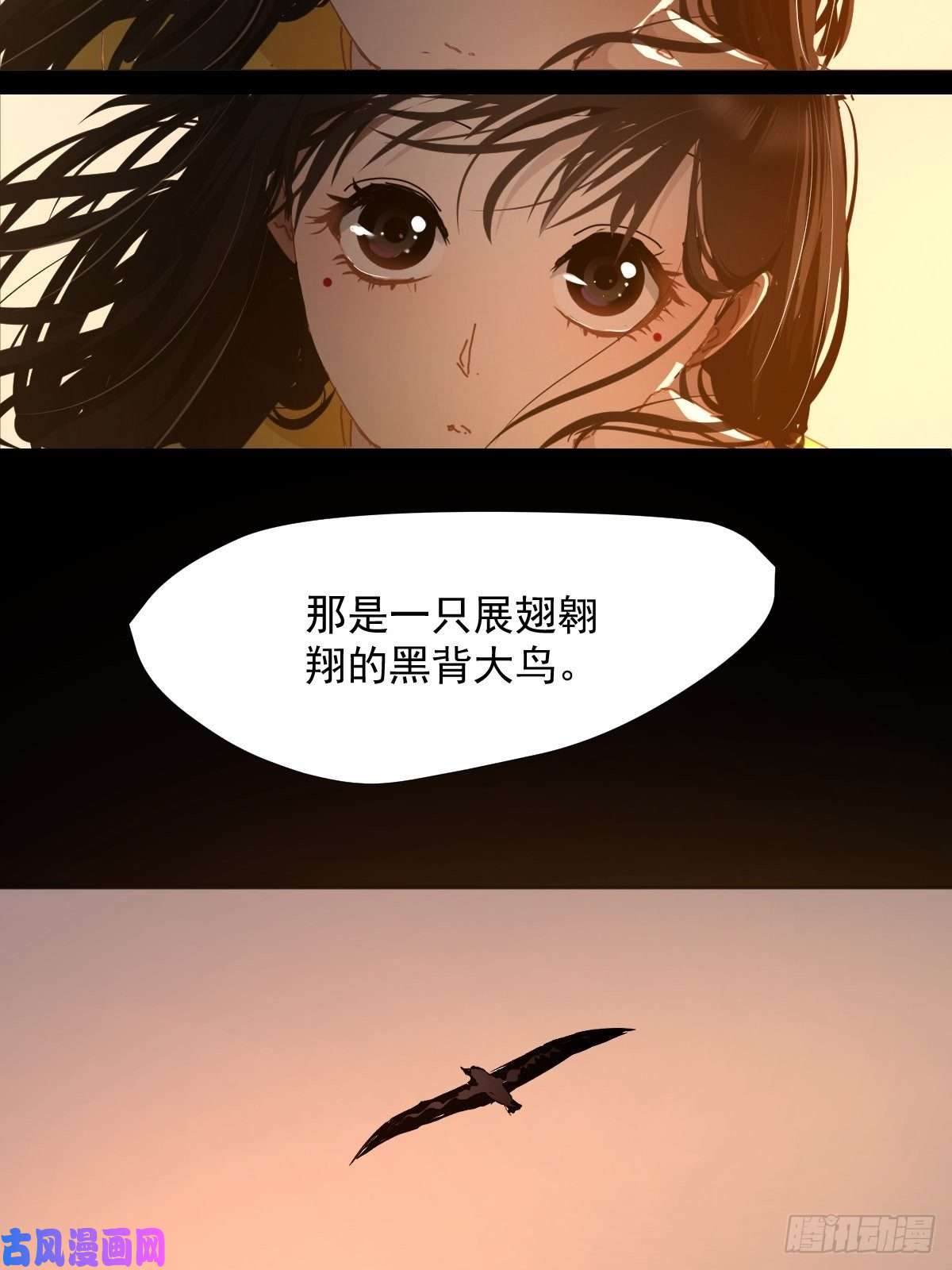 黑背信天翁17我想它告诉了我什么叫做活着