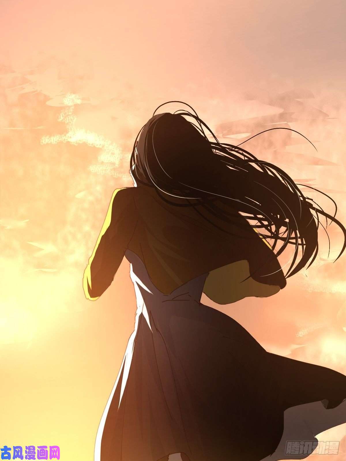 黑背信天翁17我想它告诉了我什么叫做活着