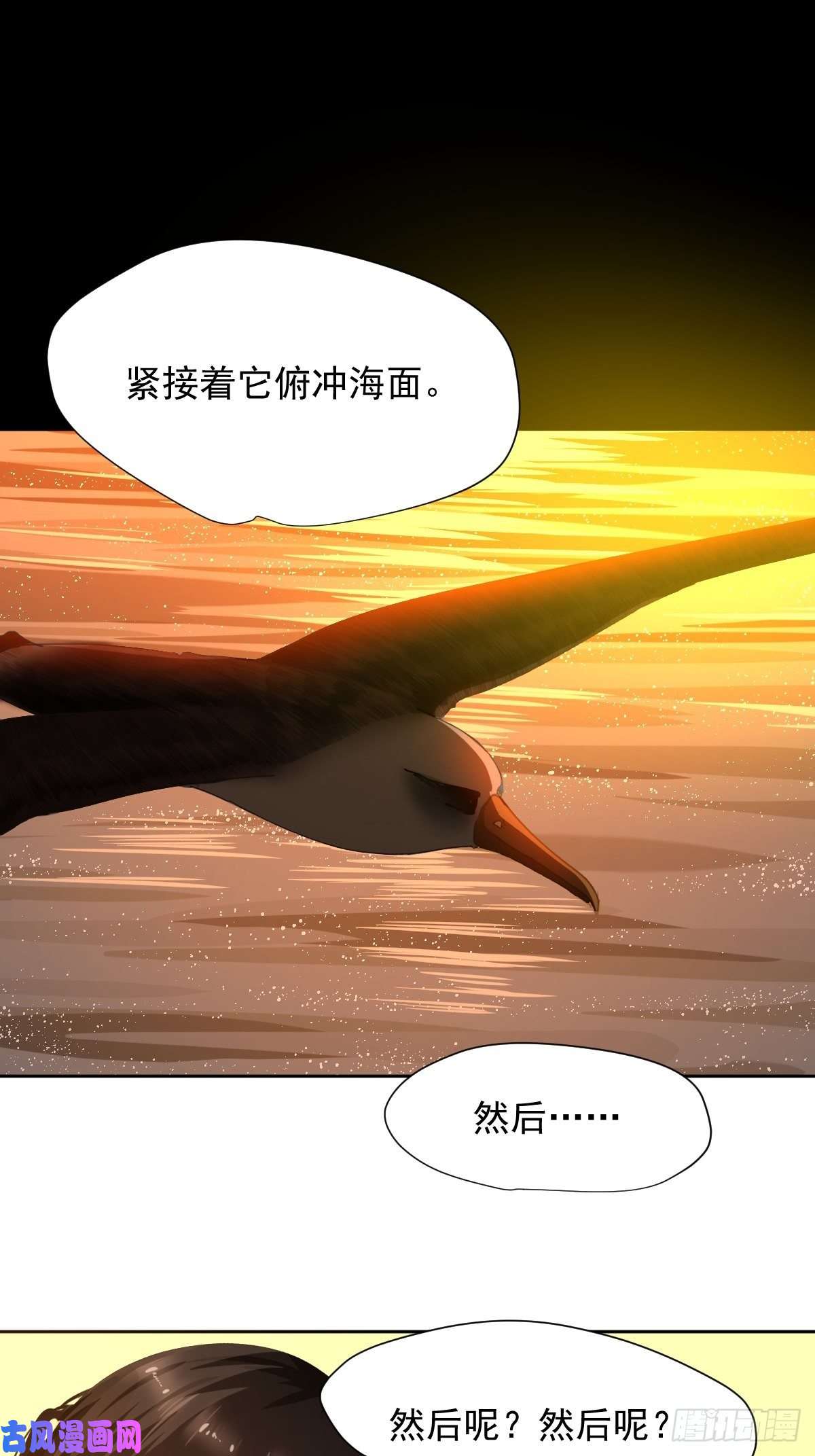 黑背信天翁17我想它告诉了我什么叫做活着