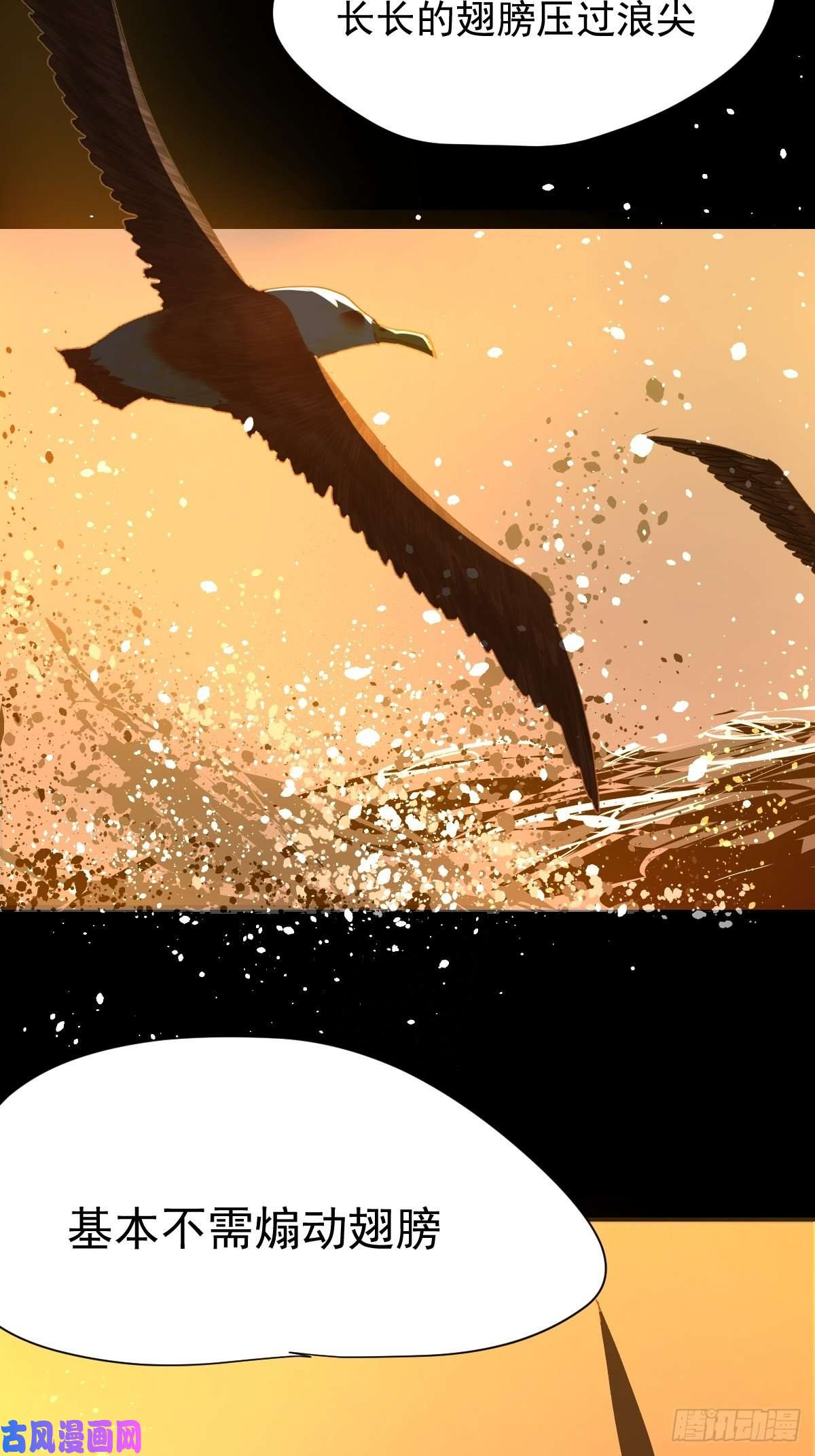 黑背信天翁17我想它告诉了我什么叫做活着