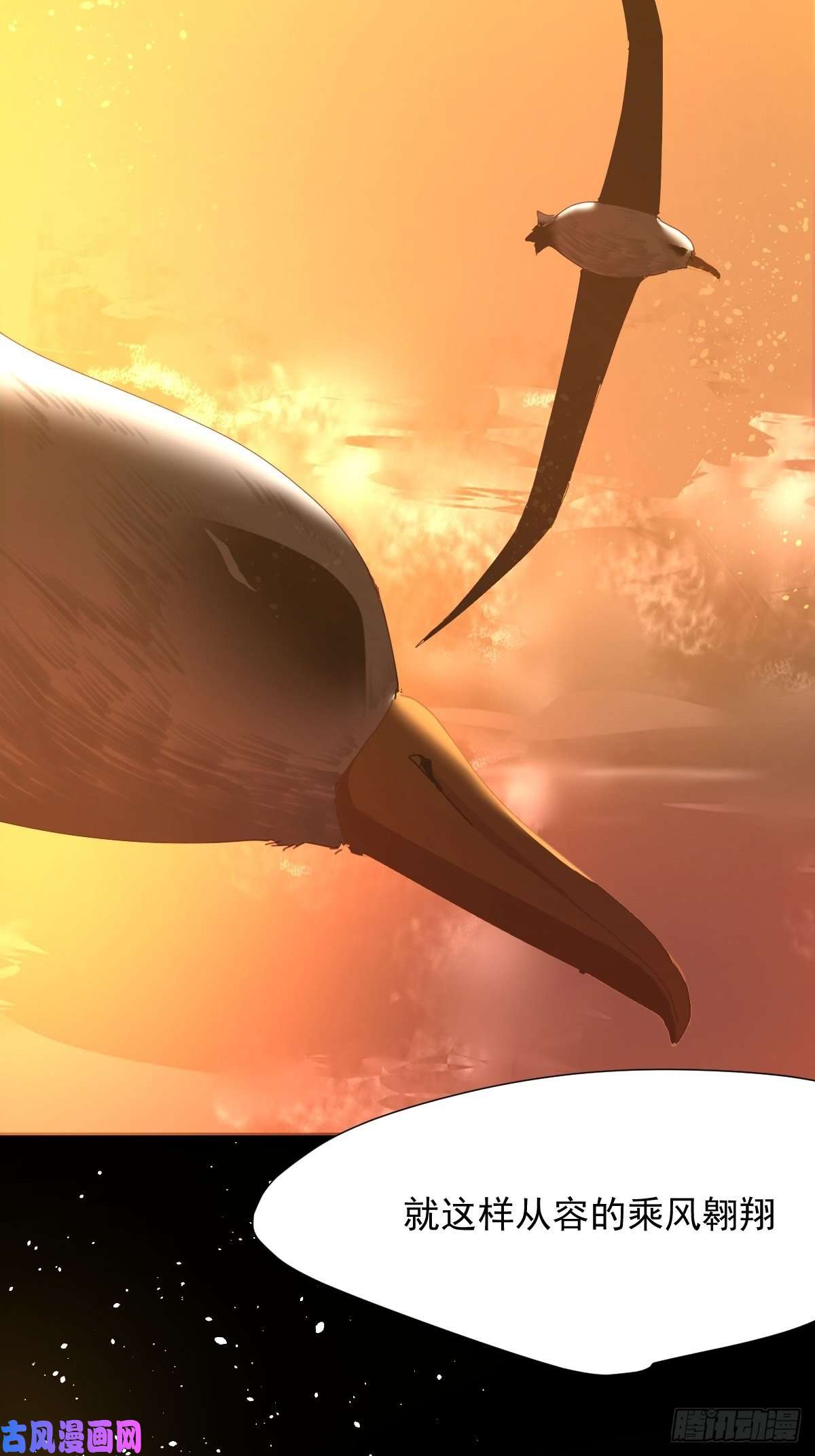 黑背信天翁17我想它告诉了我什么叫做活着