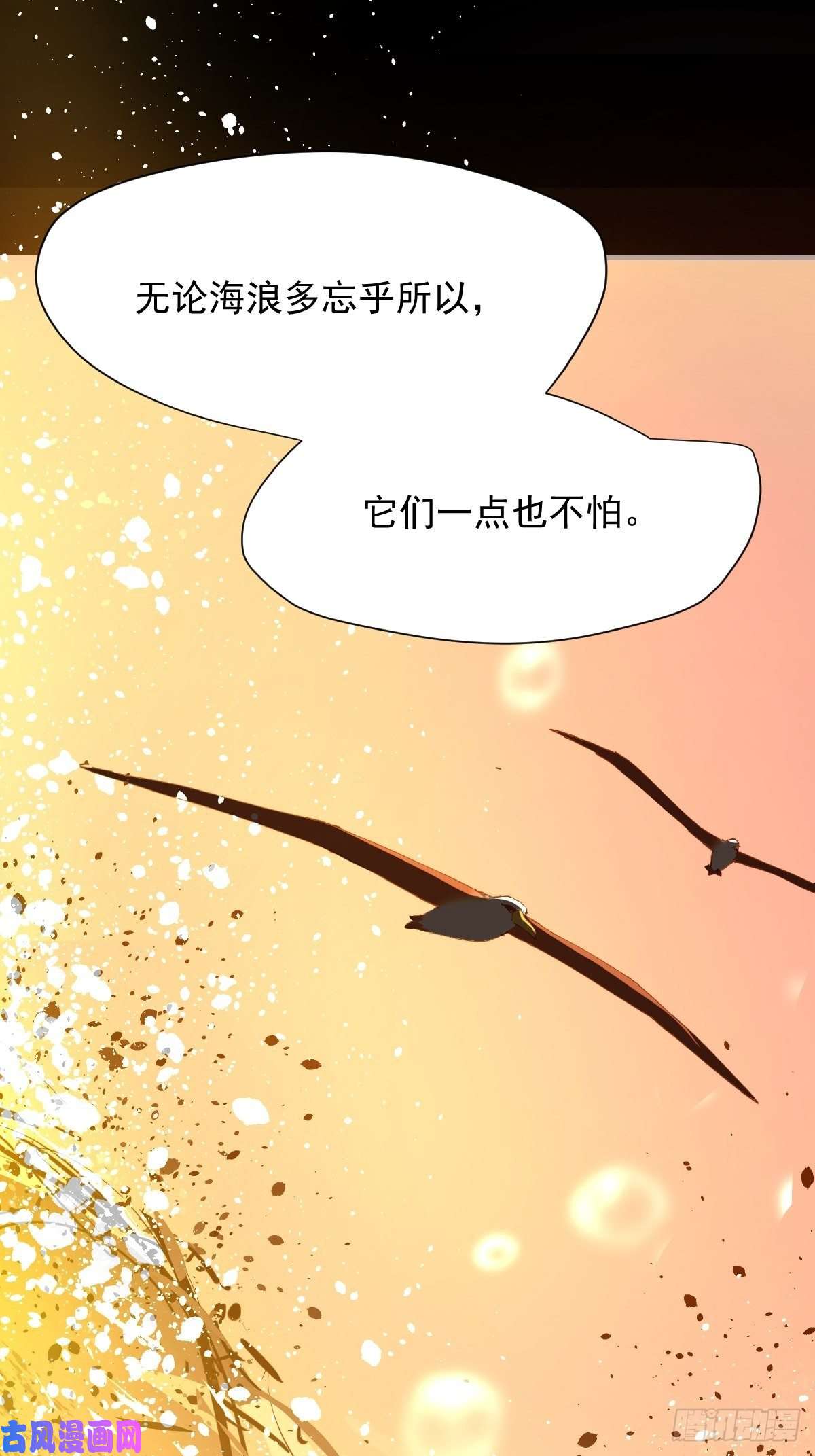 黑背信天翁17我想它告诉了我什么叫做活着