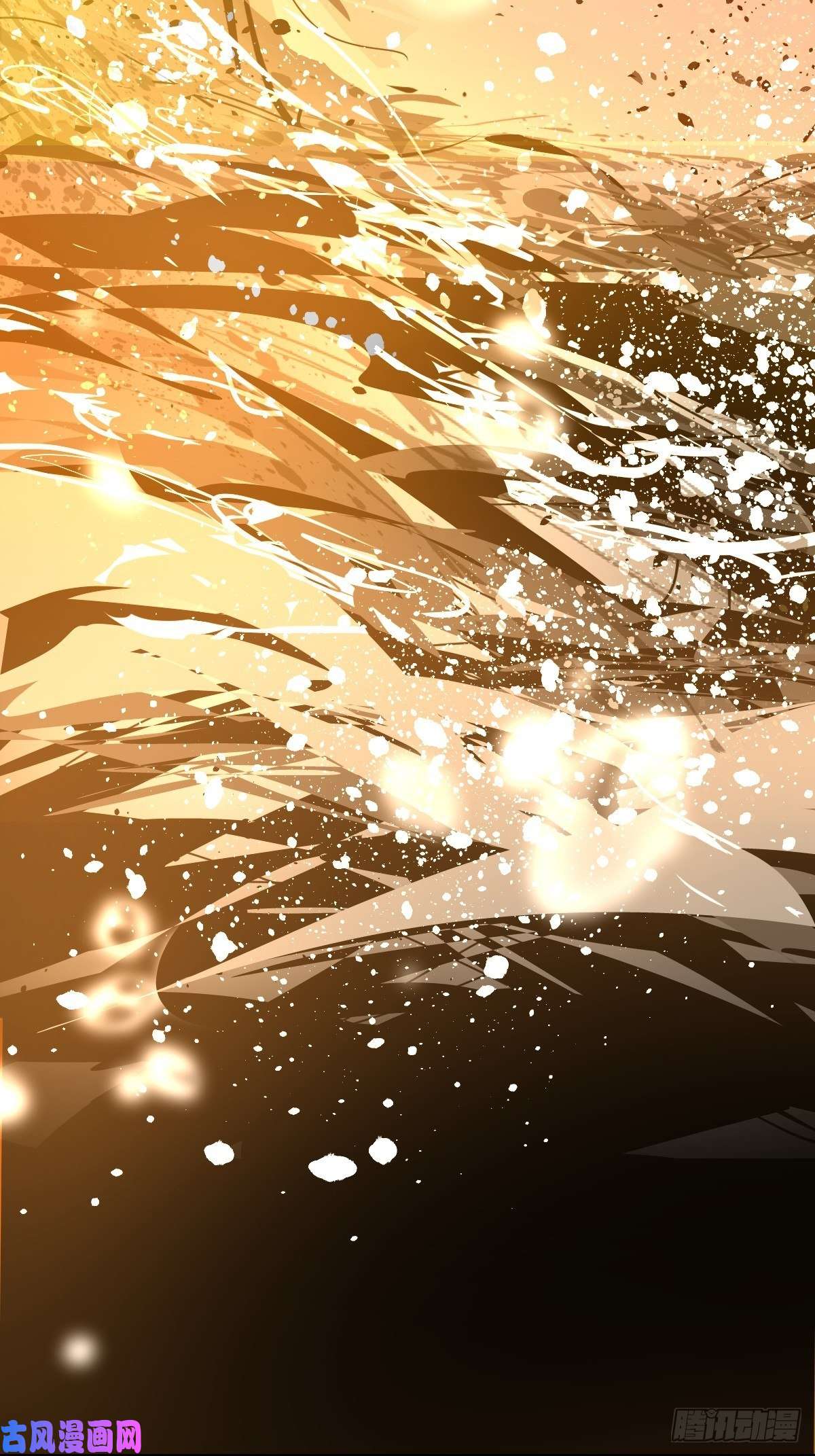 黑背信天翁17我想它告诉了我什么叫做活着