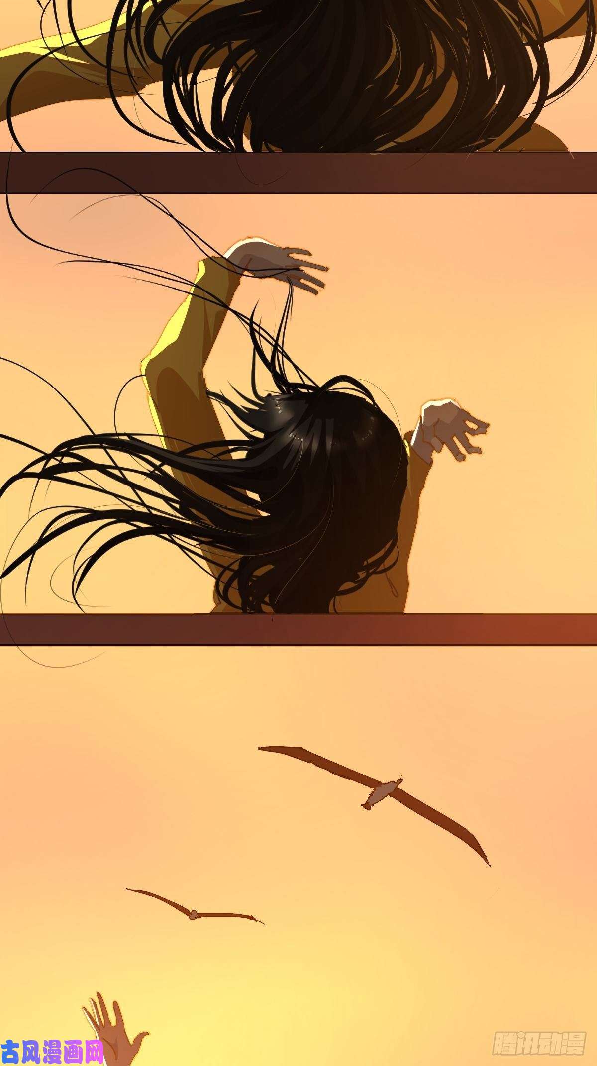 黑背信天翁17我想它告诉了我什么叫做活着