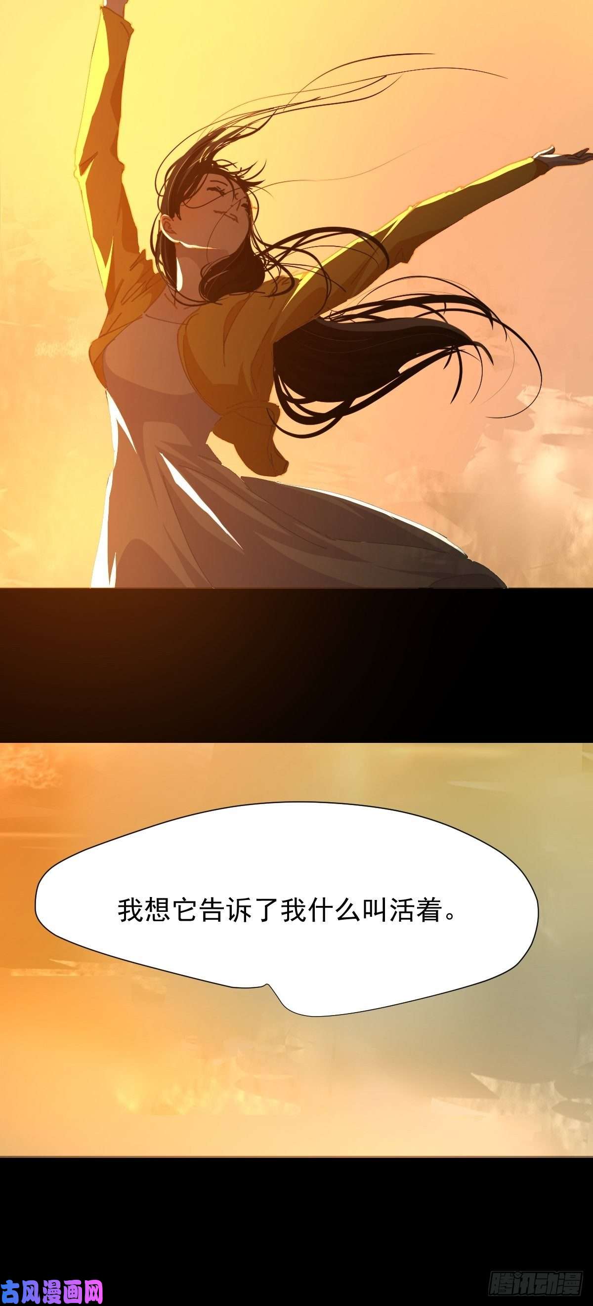 黑背信天翁17我想它告诉了我什么叫做活着