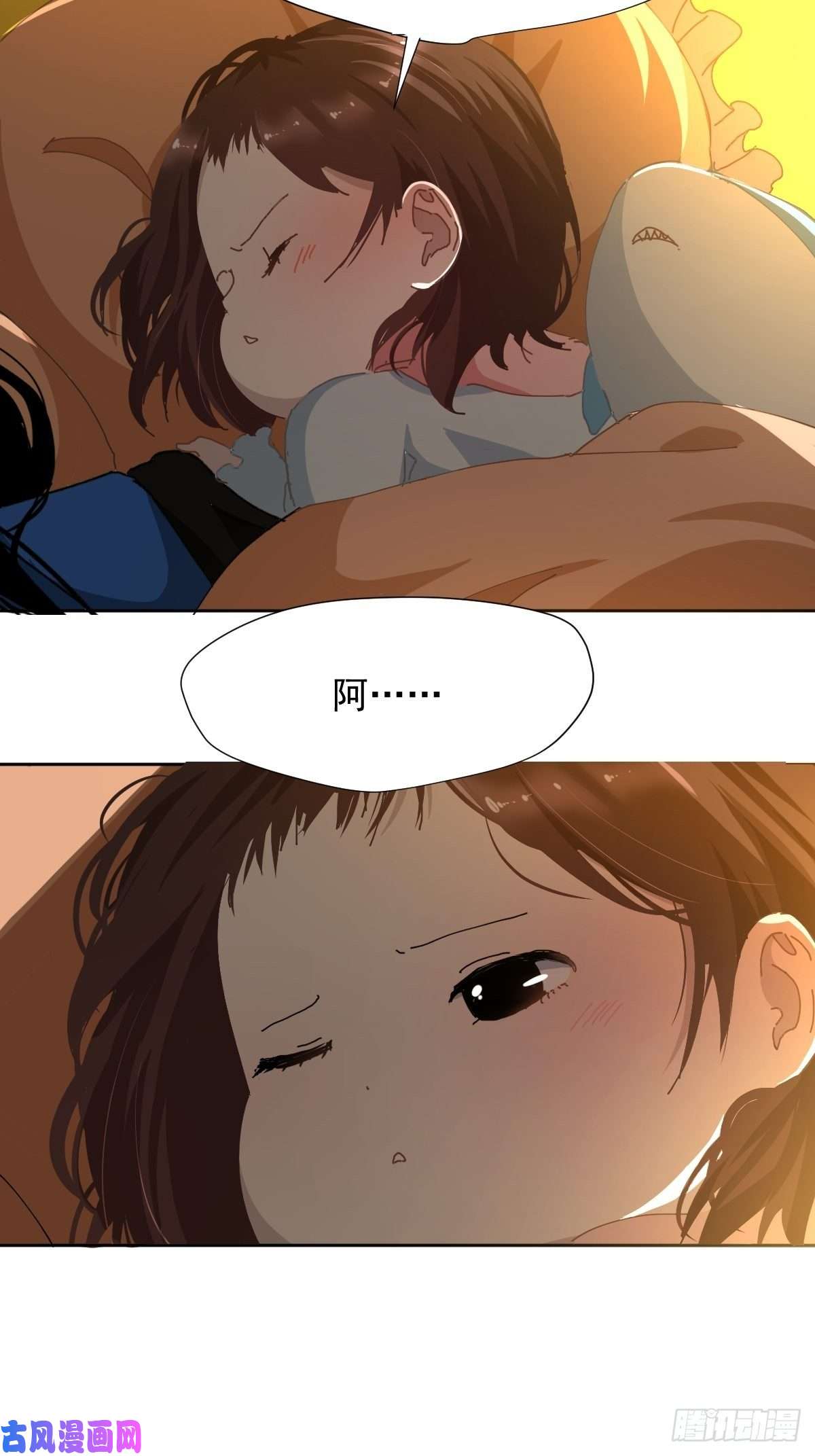 黑背信天翁17我想它告诉了我什么叫做活着