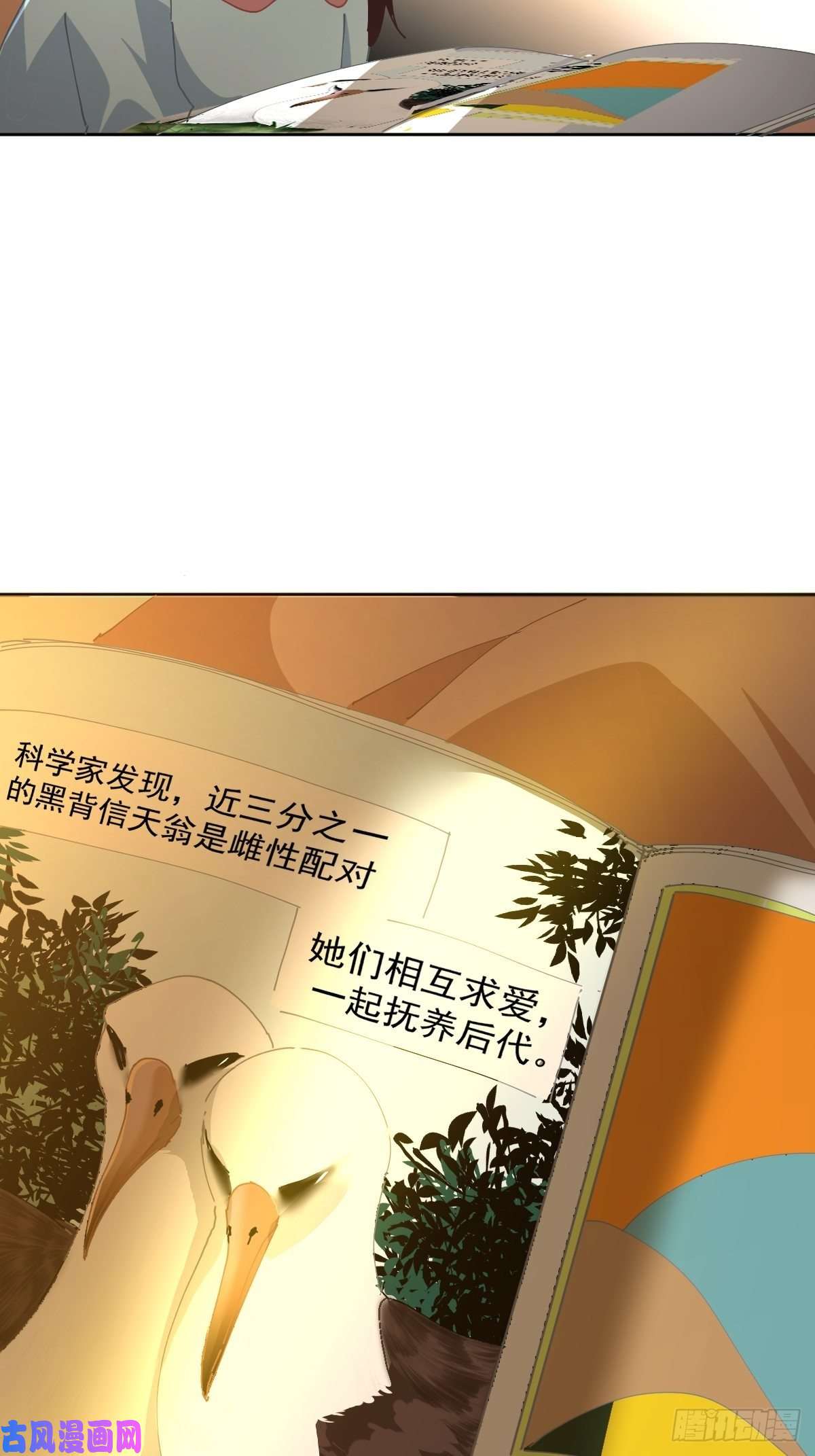 黑背信天翁17我想它告诉了我什么叫做活着