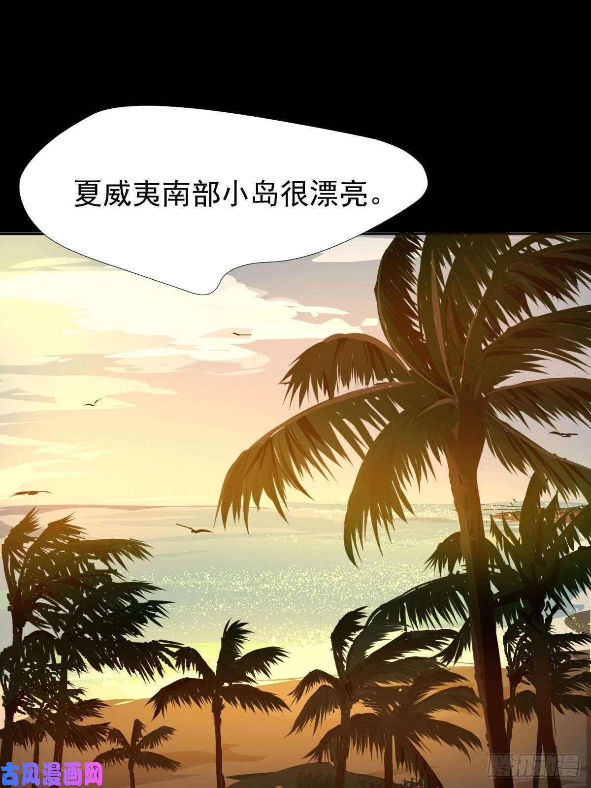 黑背信天翁17我想它告诉了我什么叫做活着