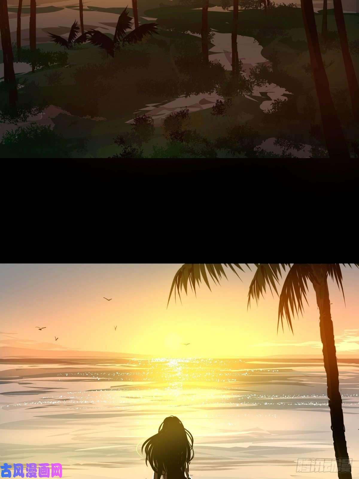 黑背信天翁17我想它告诉了我什么叫做活着