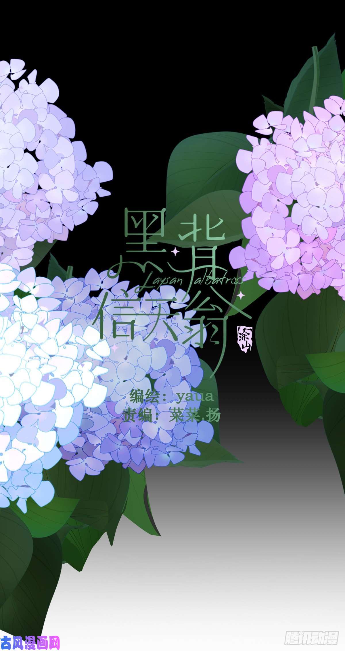 黑背信天翁18好奇怪！