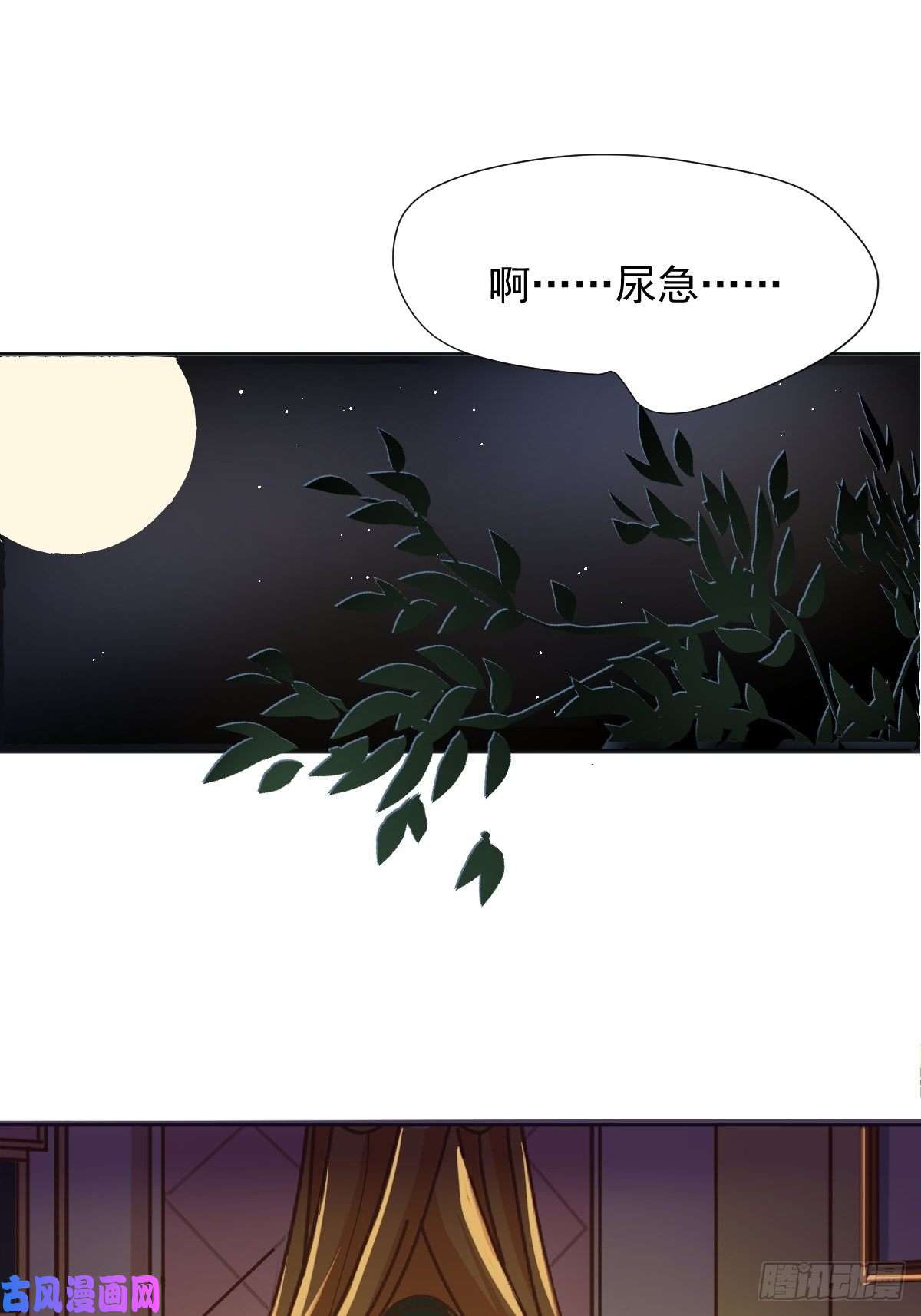 黑背信天翁18好奇怪！