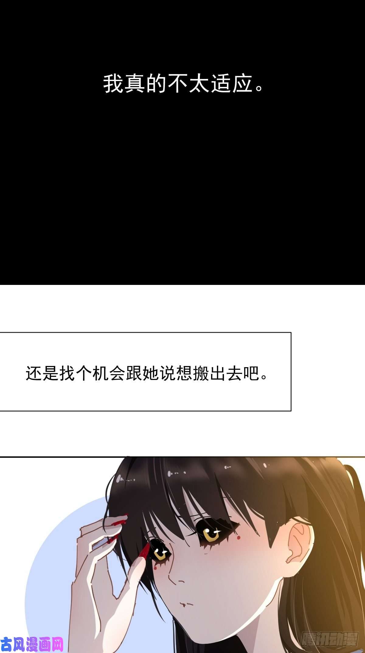 黑背信天翁18好奇怪！