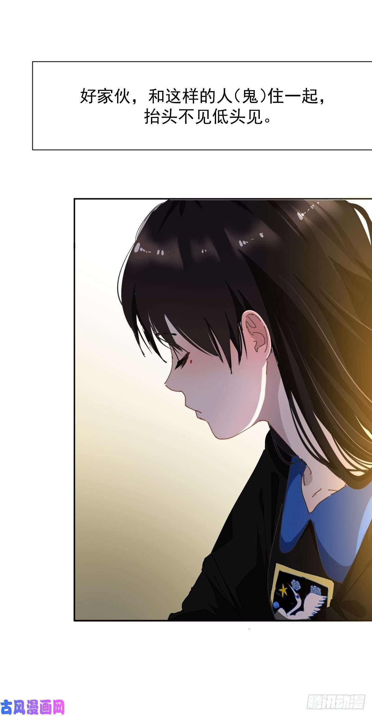 黑背信天翁18好奇怪！