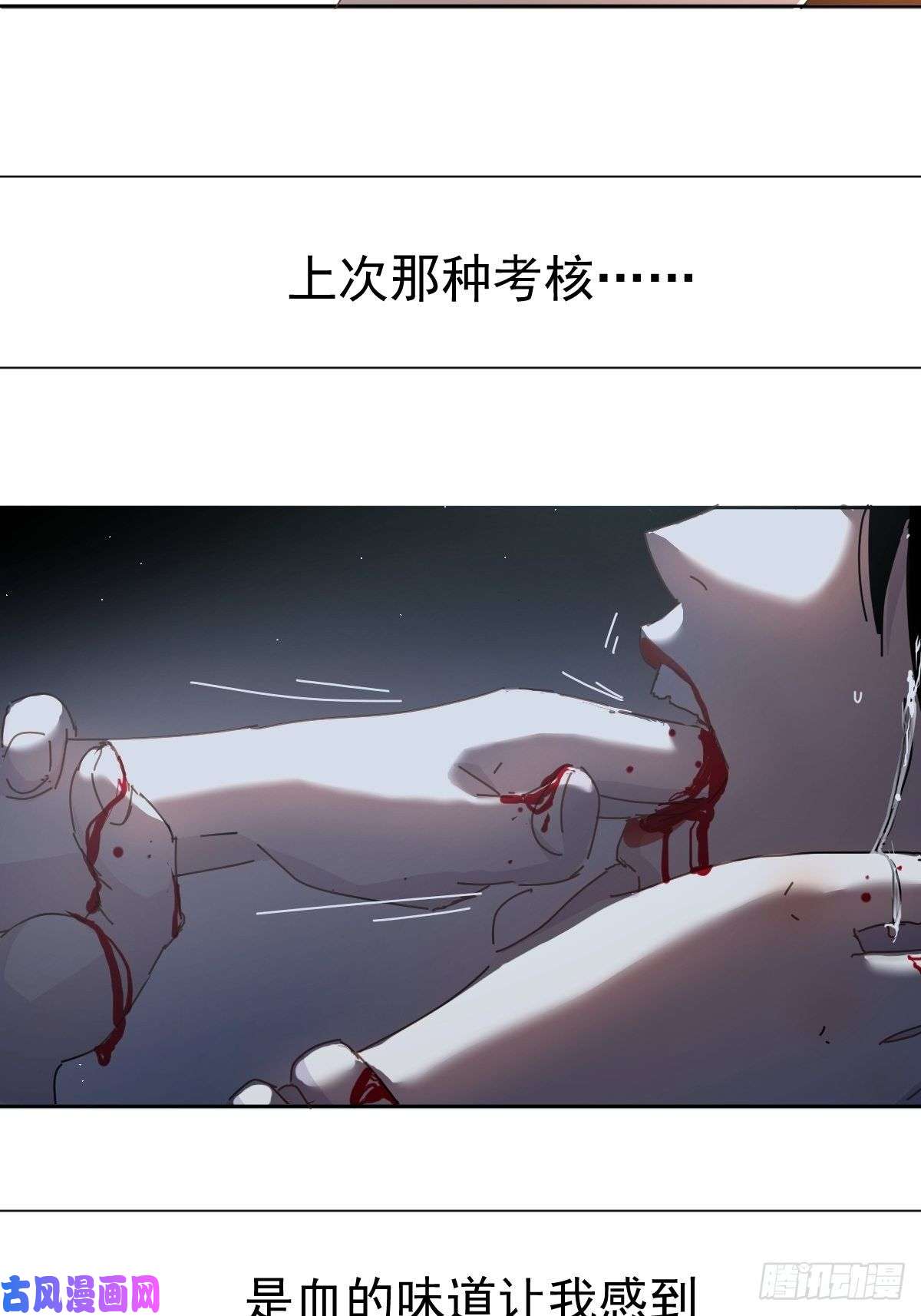 黑背信天翁18好奇怪！