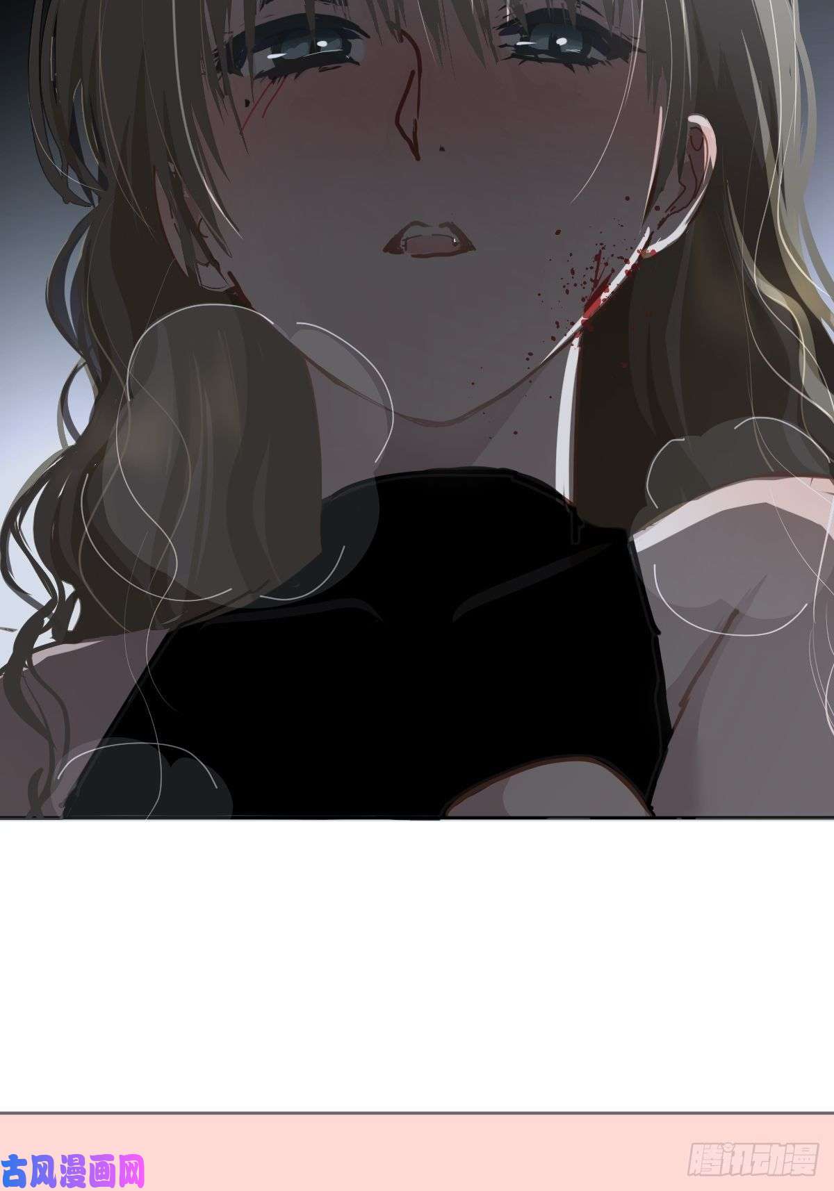 黑背信天翁18好奇怪！