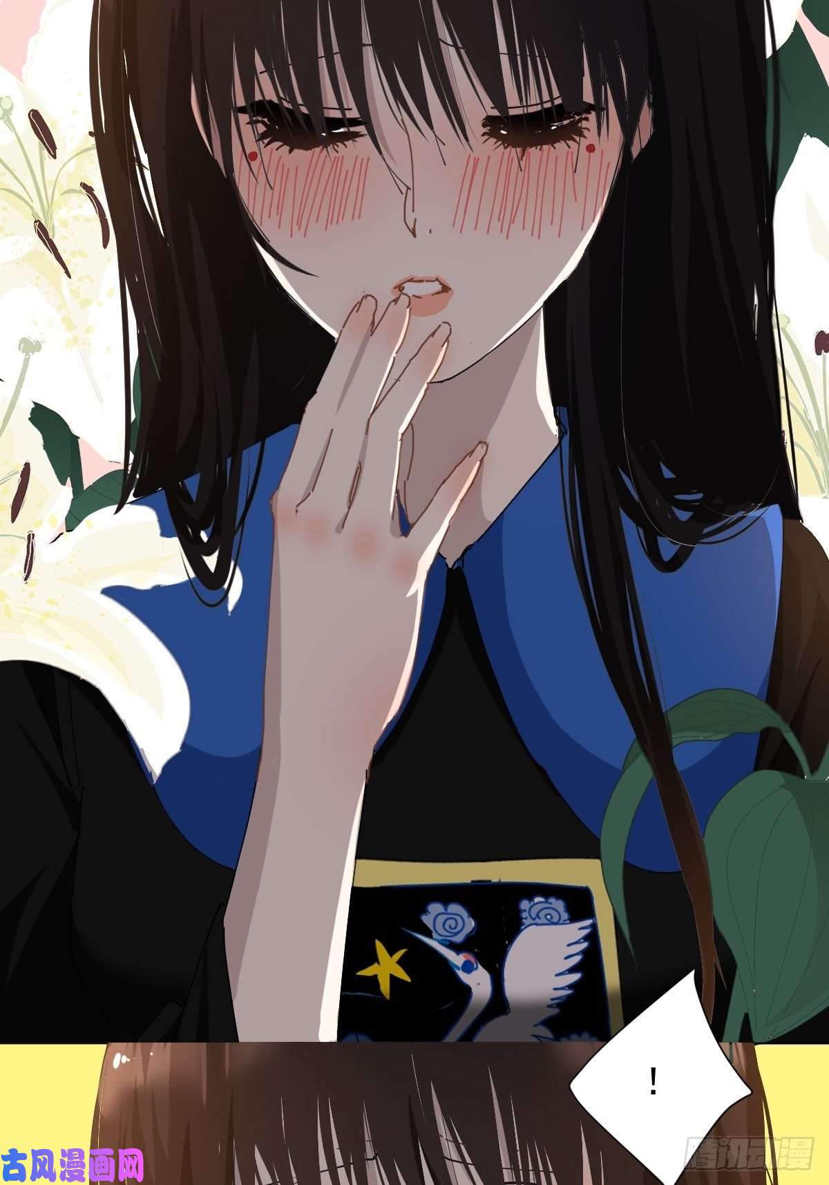 黑背信天翁18好奇怪！