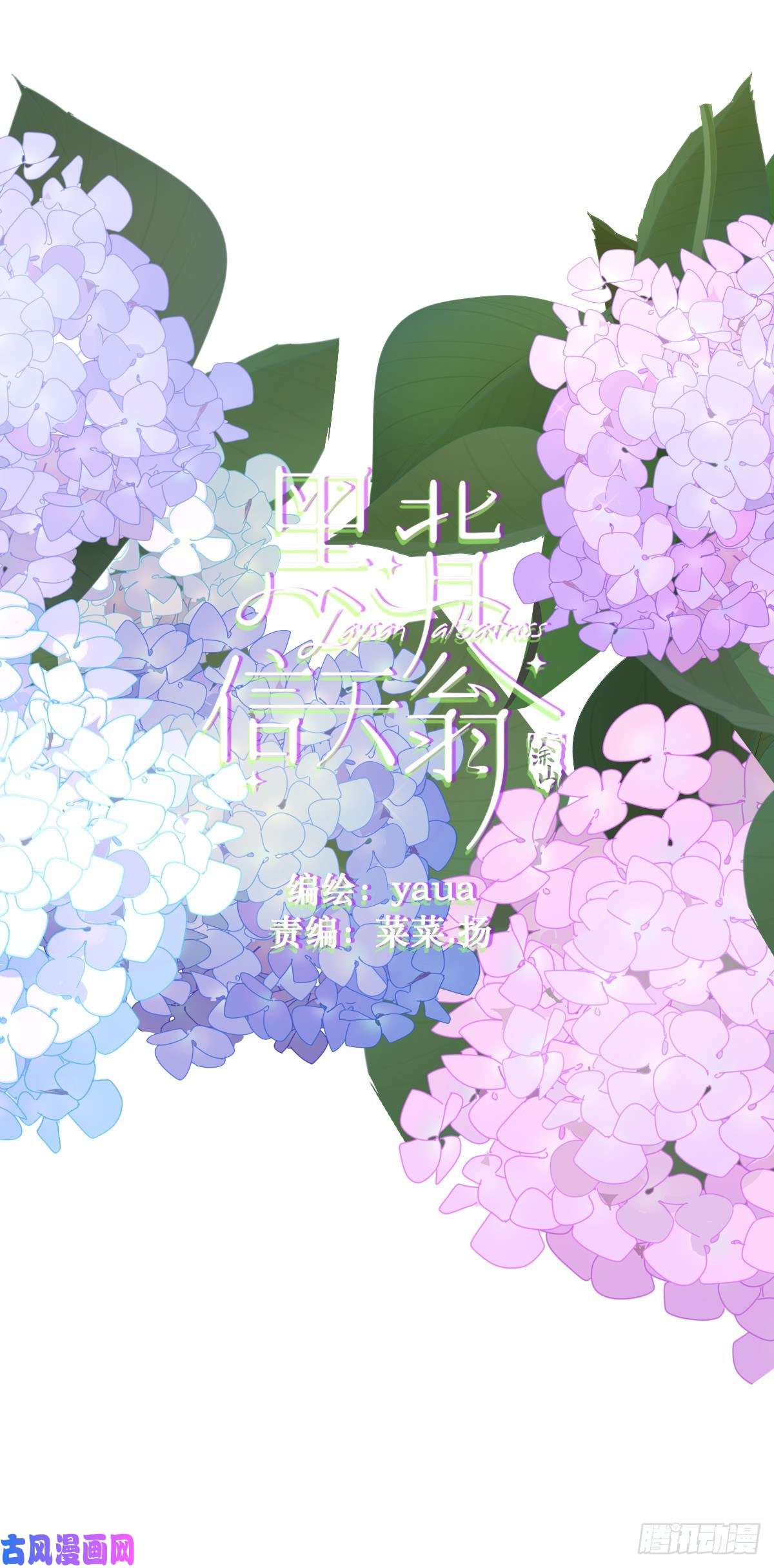 黑背信天翁20那家伙的血竟然是甜的