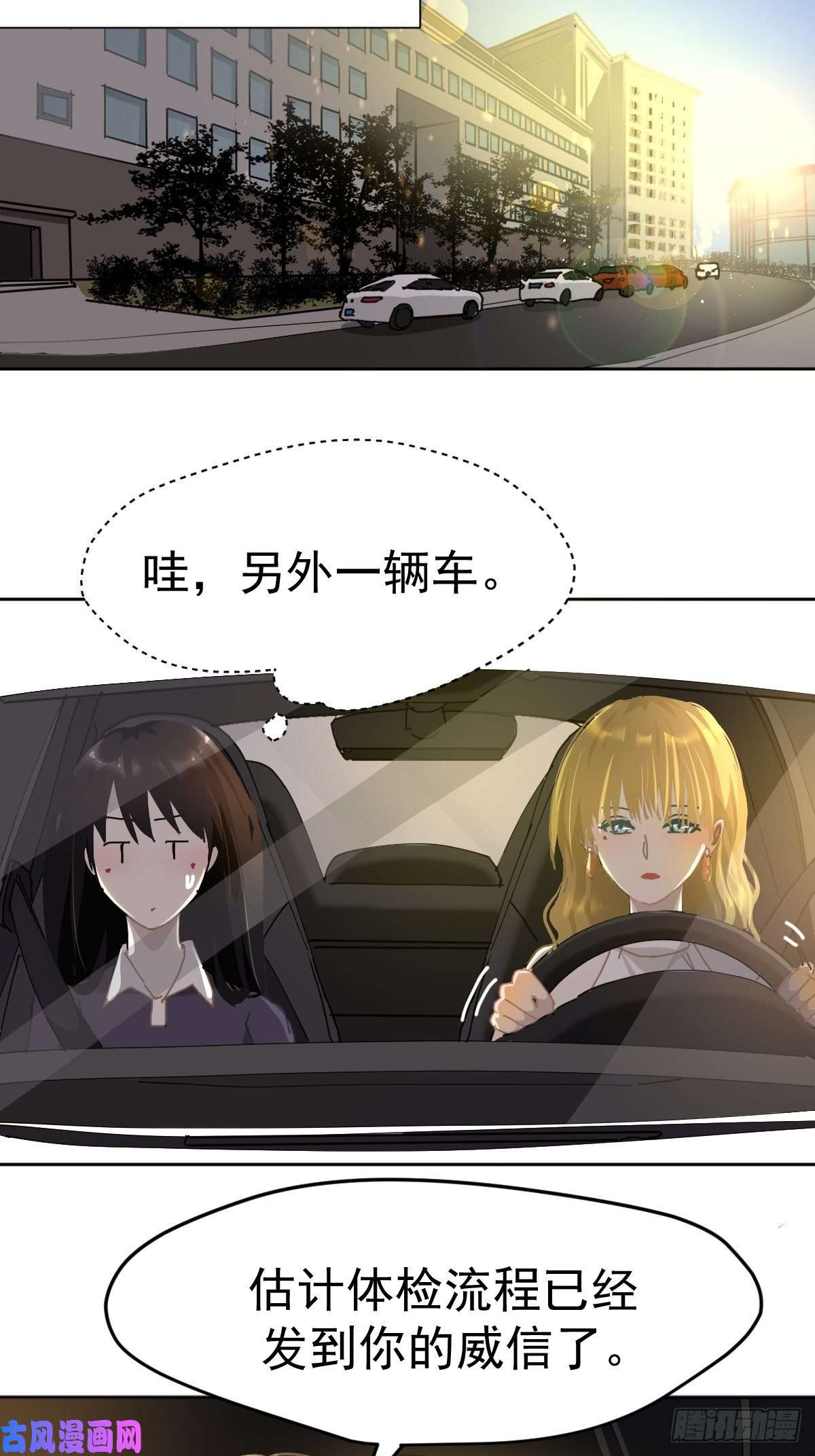 黑背信天翁20那家伙的血竟然是甜的