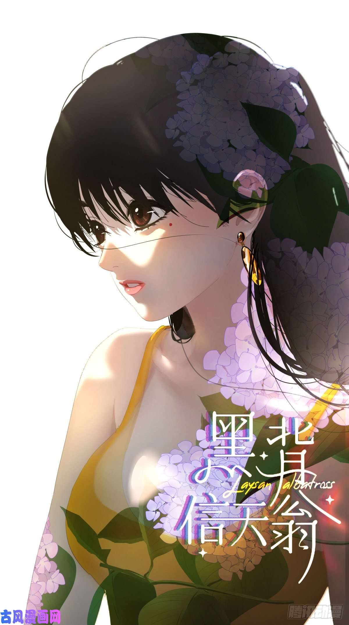 黑背信天翁21真希望每天都是这样