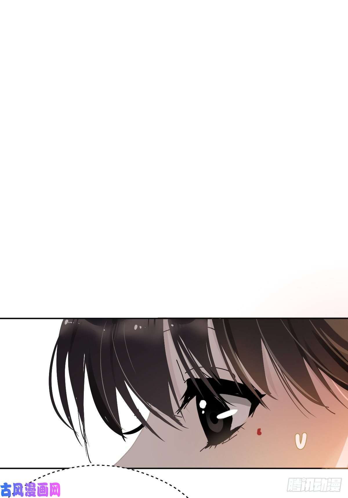 黑背信天翁21真希望每天都是这样